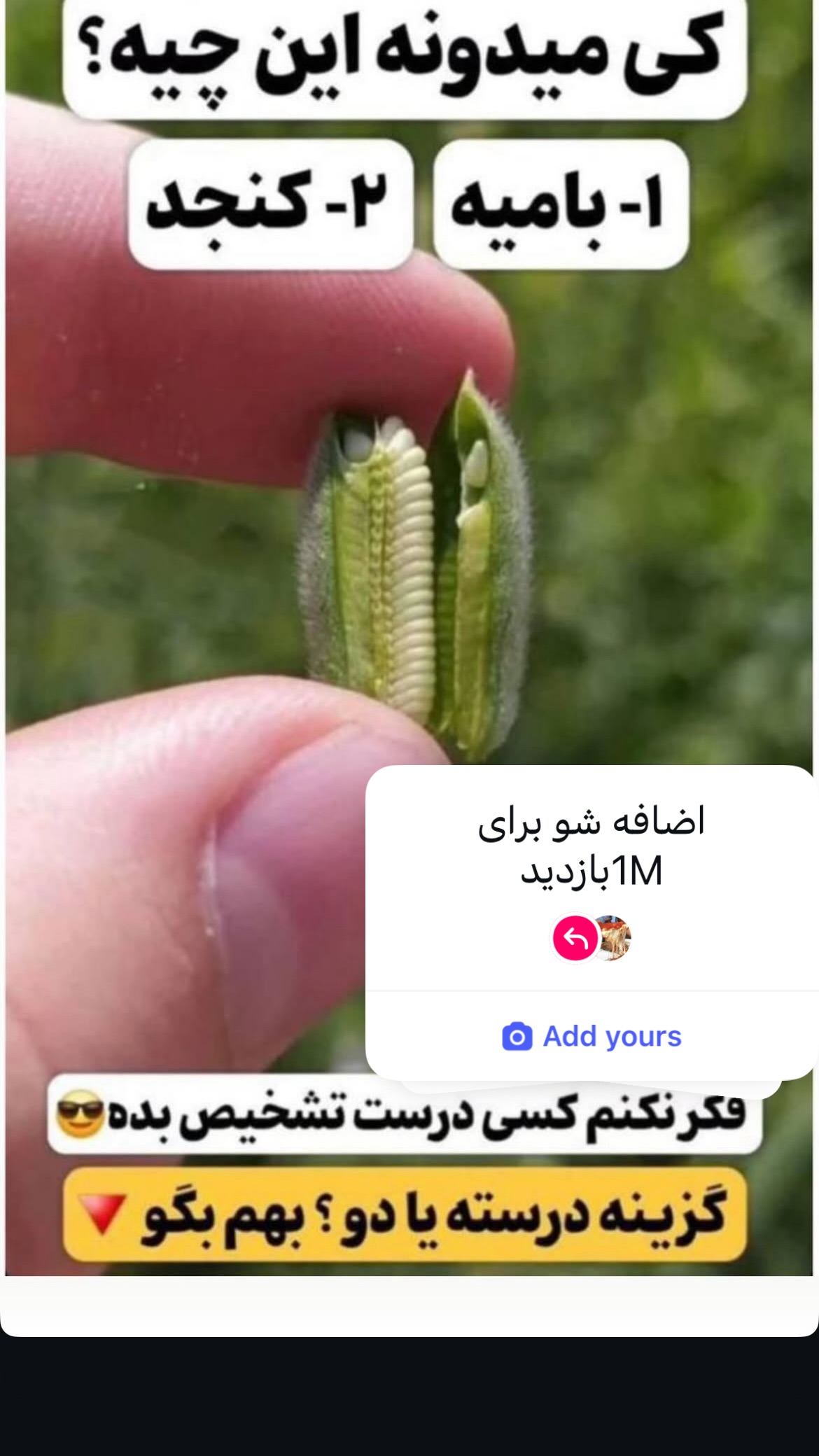  جدید ترین استوری اینستاگرام شکموها