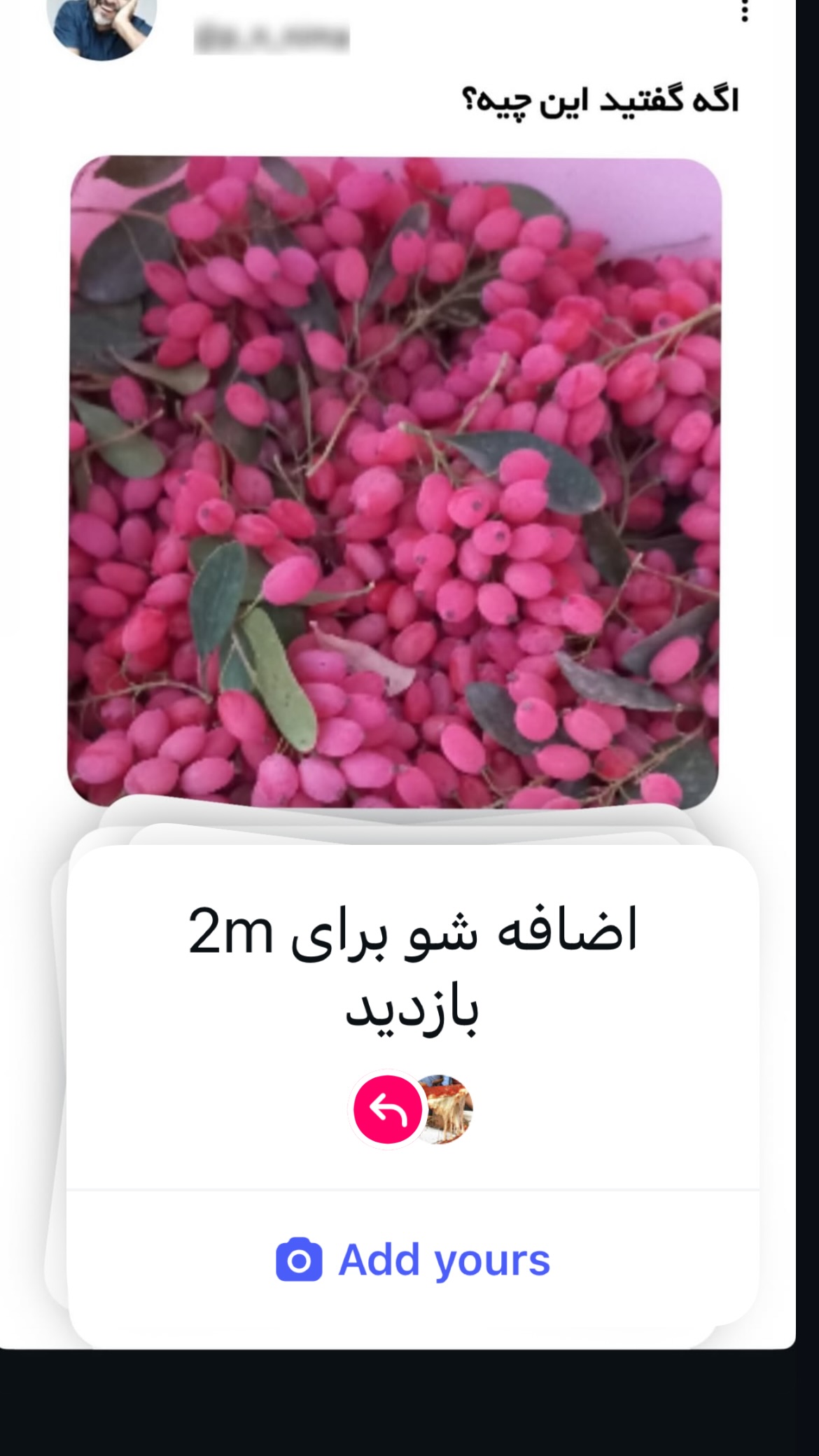  جدید ترین استوری اینستاگرام شکموها
