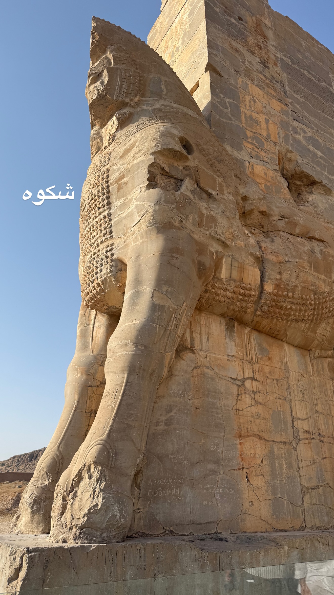  جدید ترین استوری اینستاگرام صدف