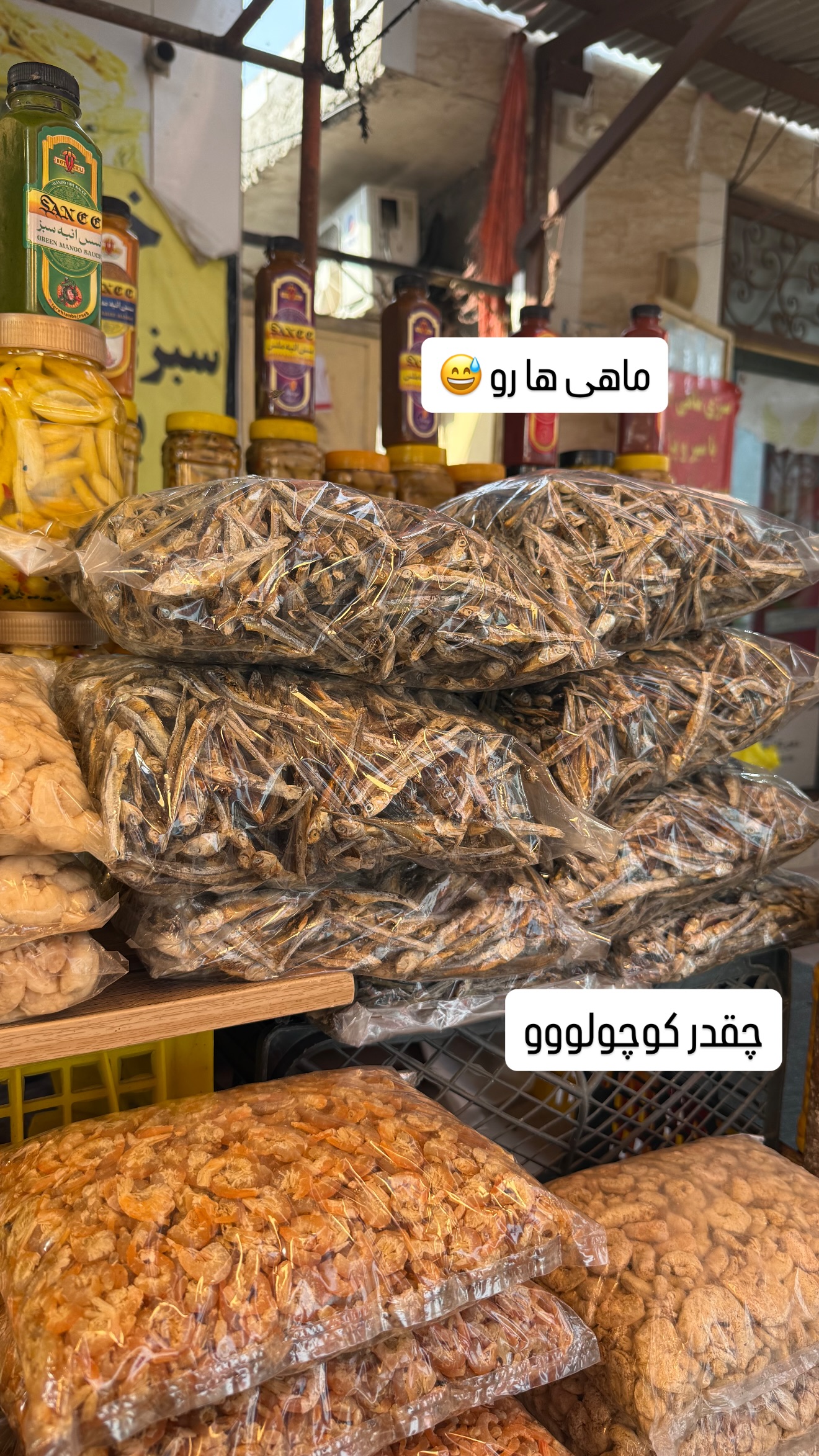  جدید ترین استوری اینستاگرام صدف