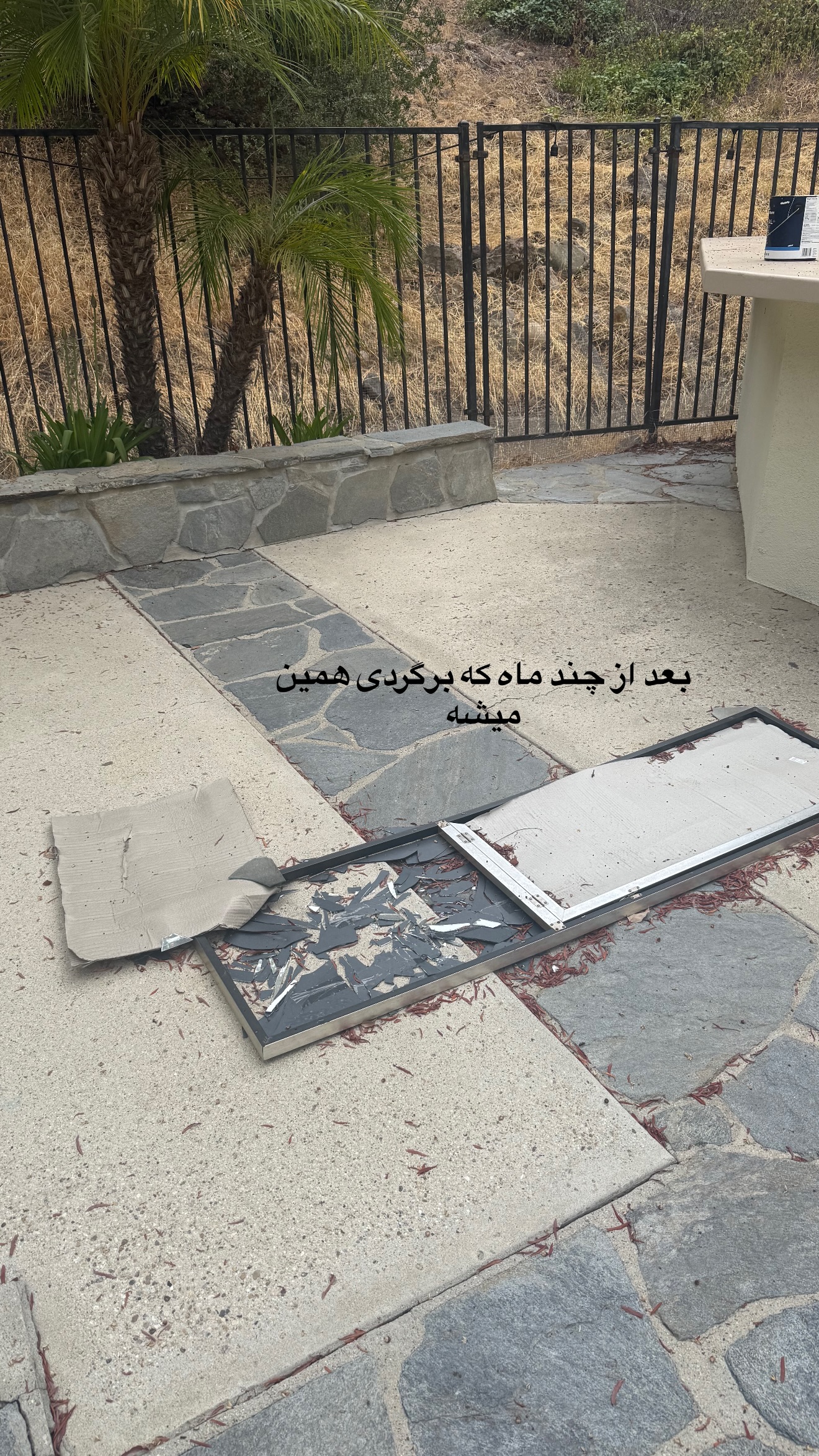  جدید ترین استوری اینستاگرام صدف