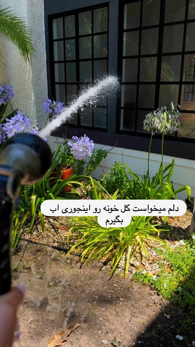  جدید ترین استوری اینستاگرام صدف