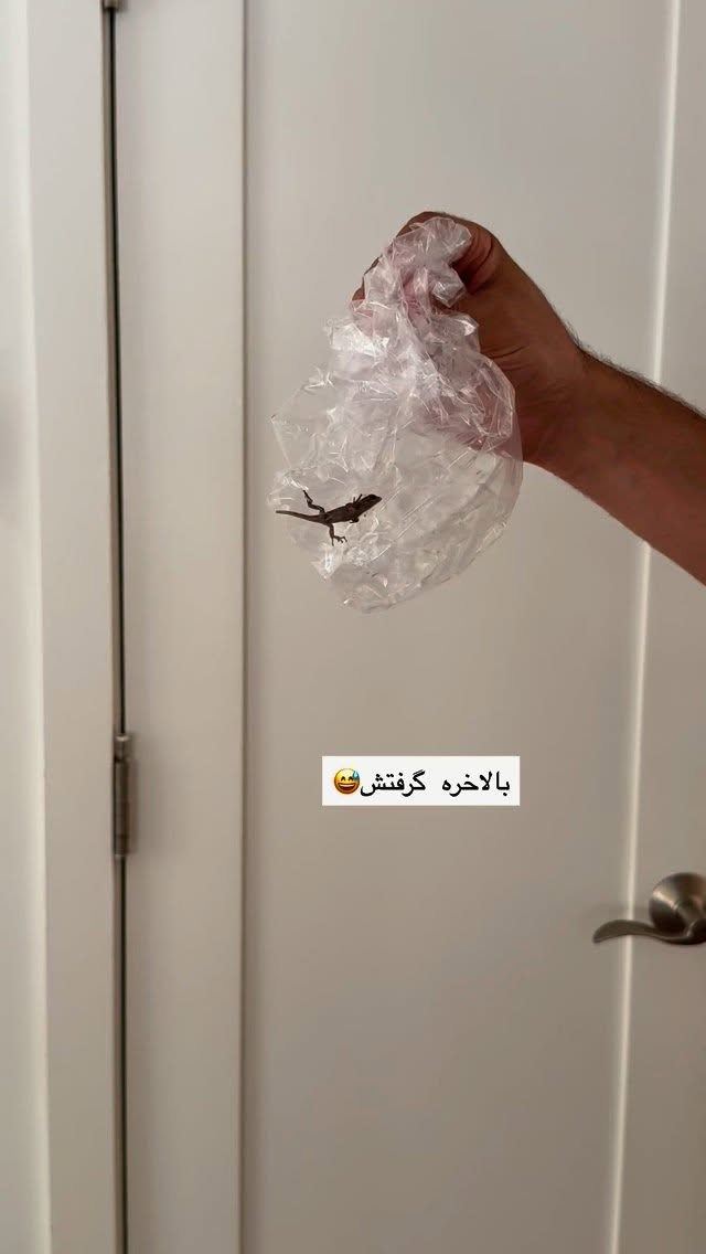  جدید ترین استوری اینستاگرام صدف