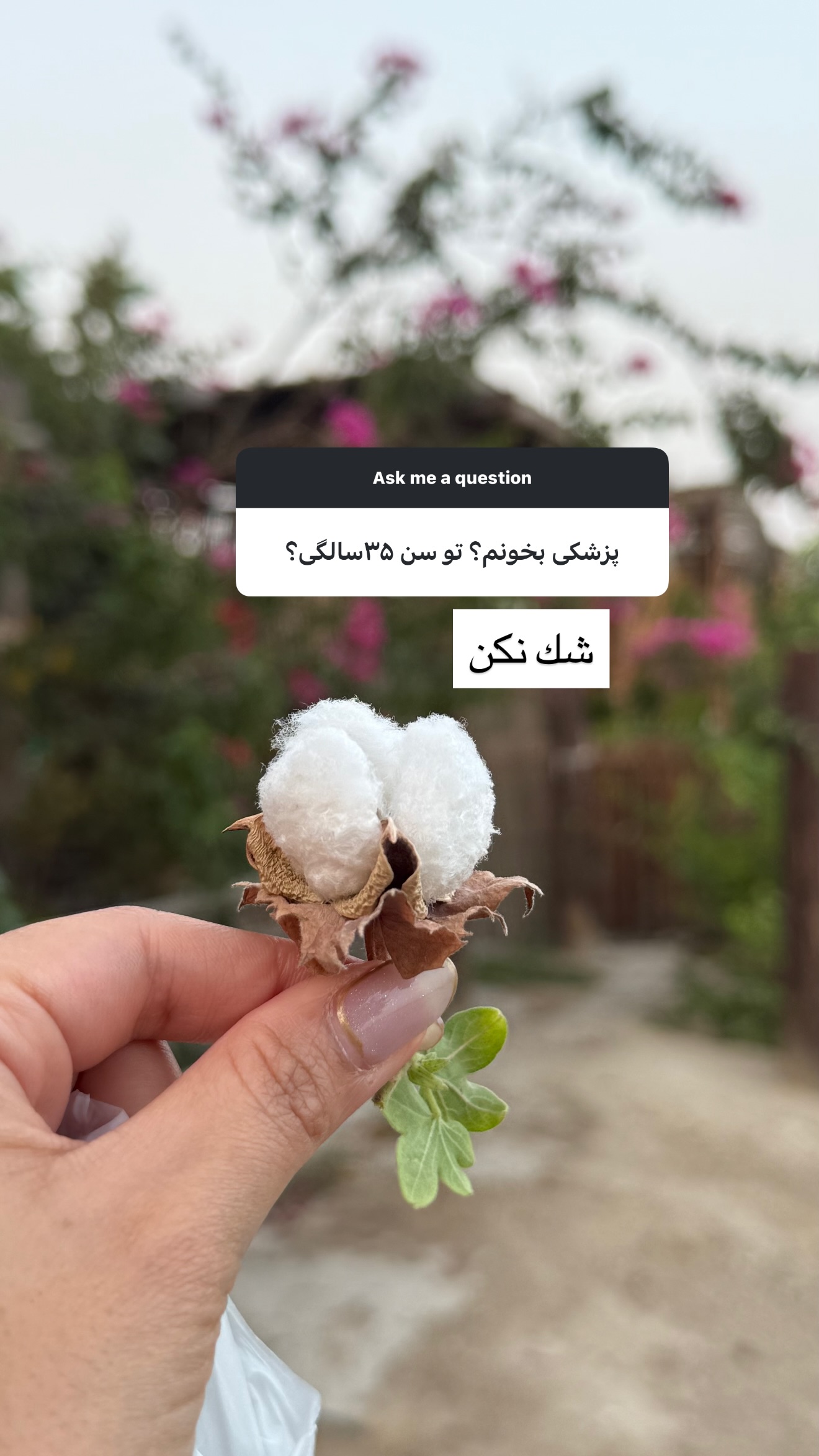  جدید ترین استوری اینستاگرام صدف
