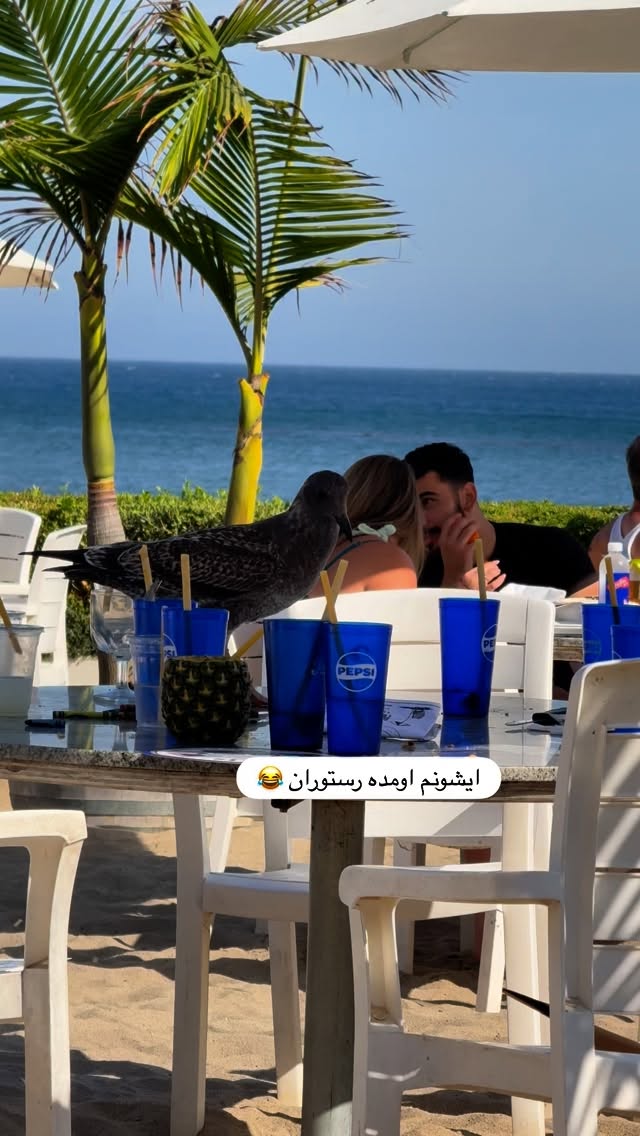  جدید ترین استوری اینستاگرام صدف
