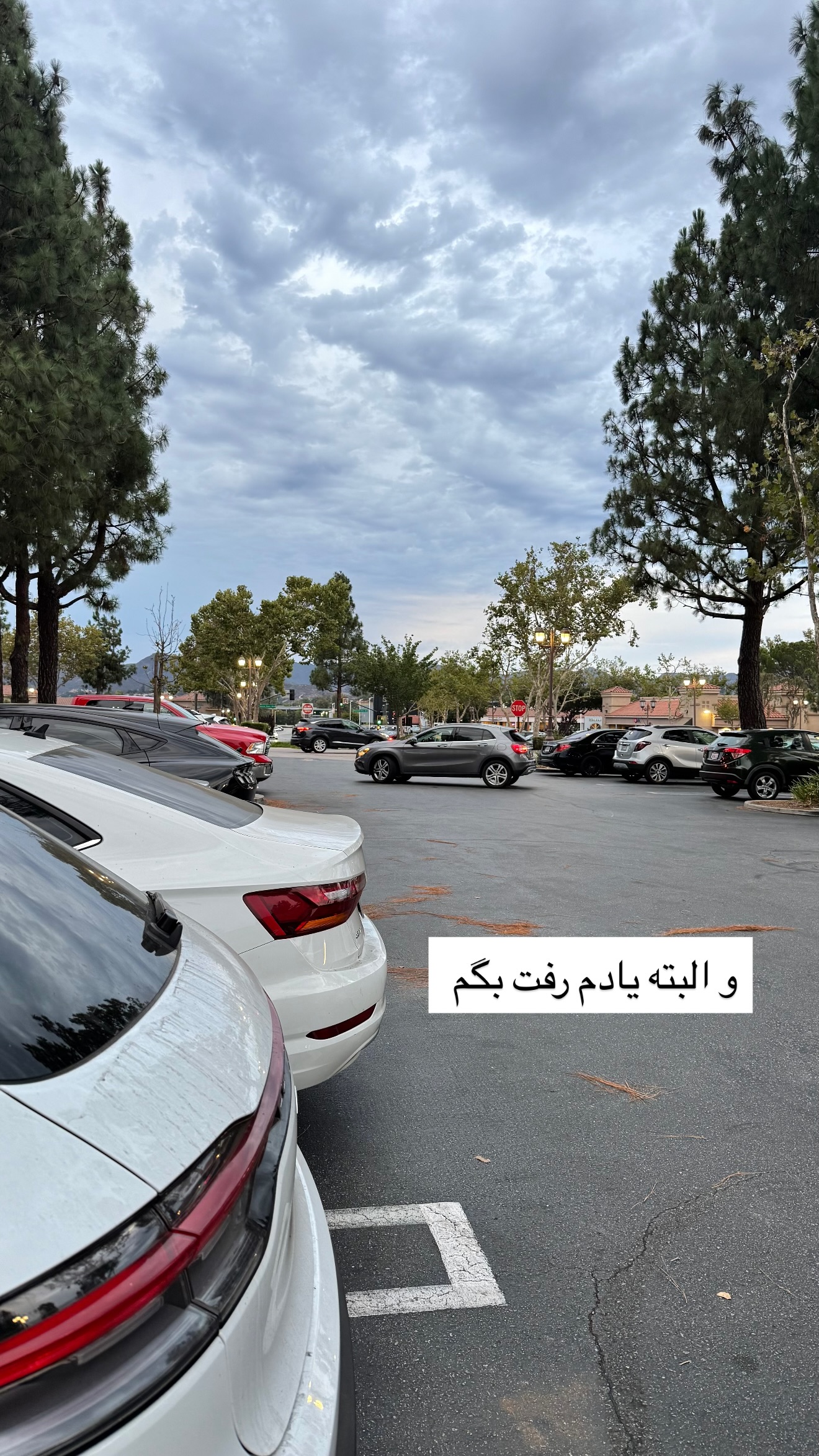  جدید ترین استوری اینستاگرام صدف