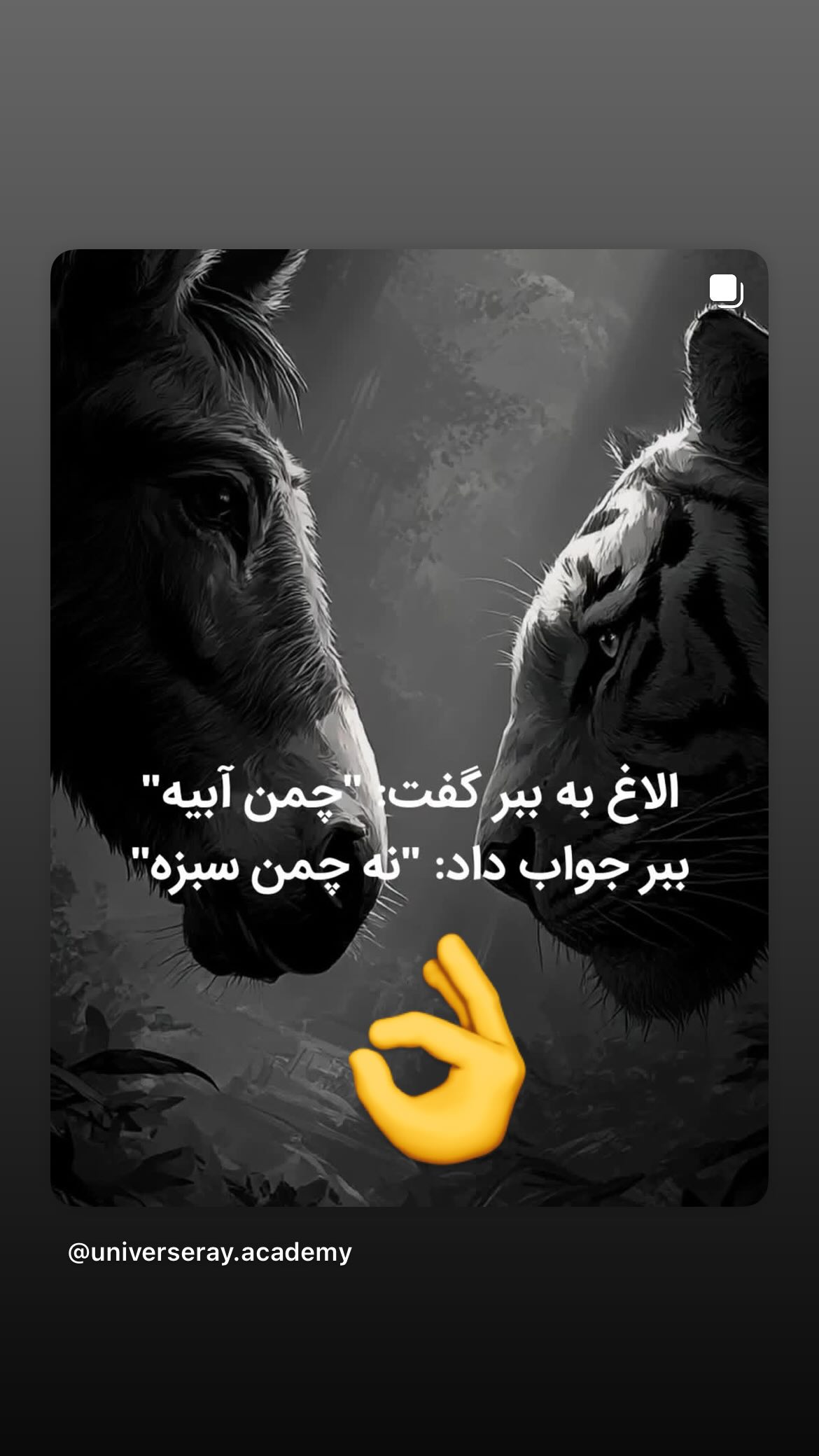  جدید ترین استوری اینستاگرام امیرشیبان خاقانی