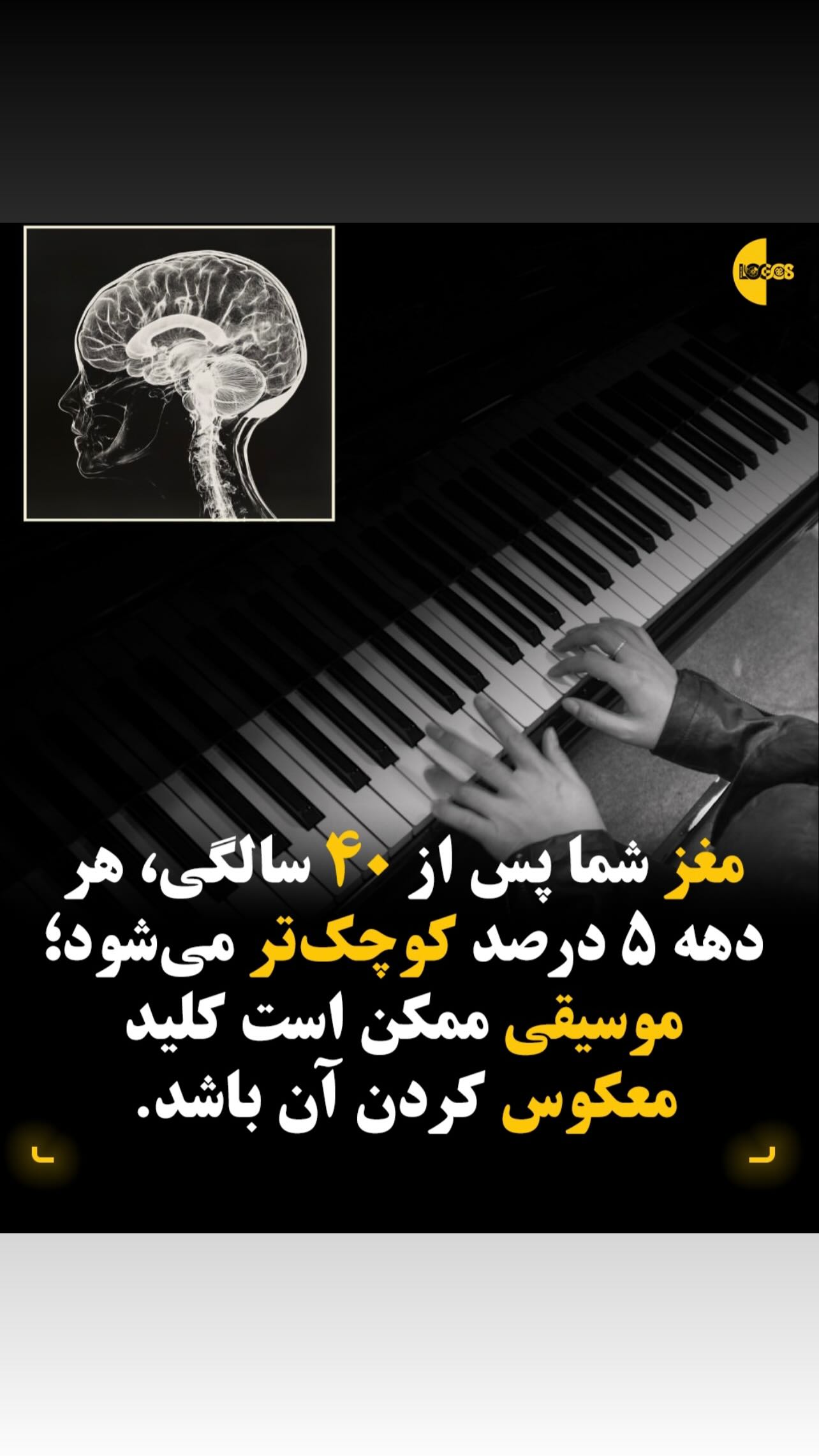 جدید ترین استوری اینستاگرام شیث رضایی