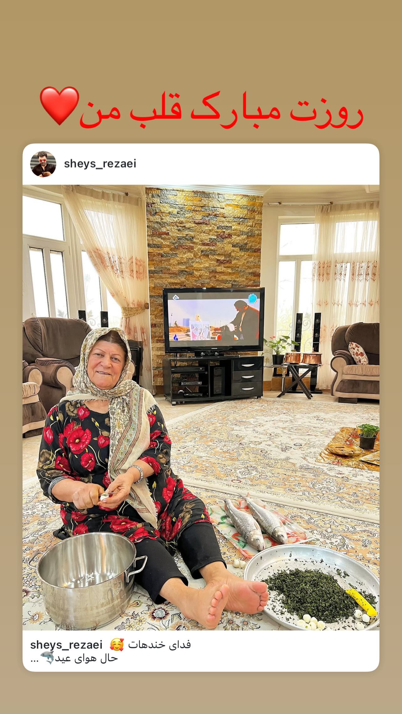 جدید ترین استوری اینستاگرام شیث رضایی