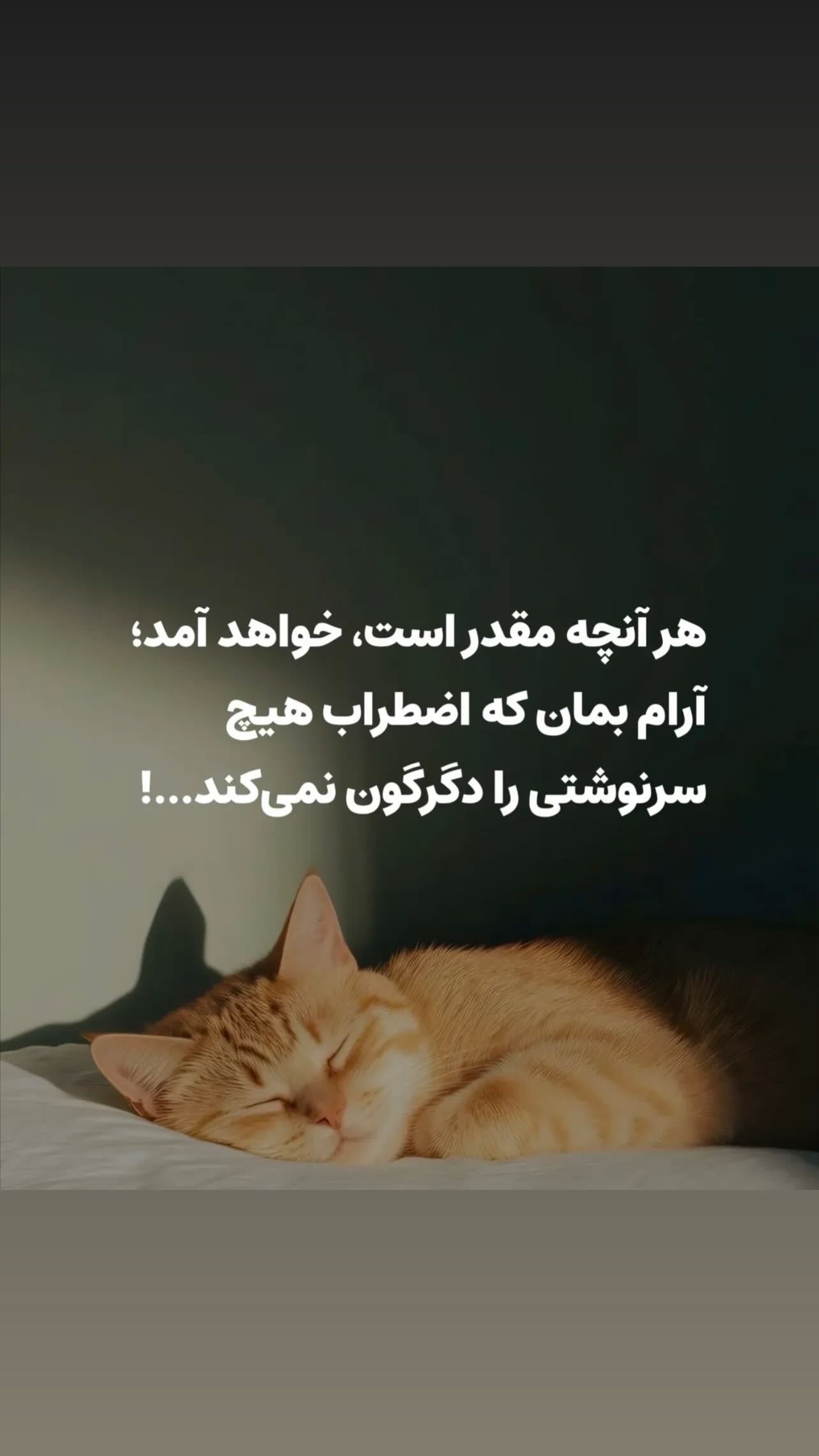  جدید ترین استوری اینستاگرام شیث رضایی