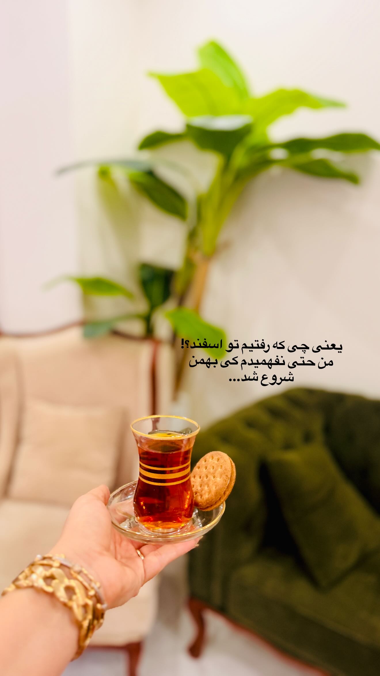  جدید ترین استوری اینستاگرام شعله حسینی
