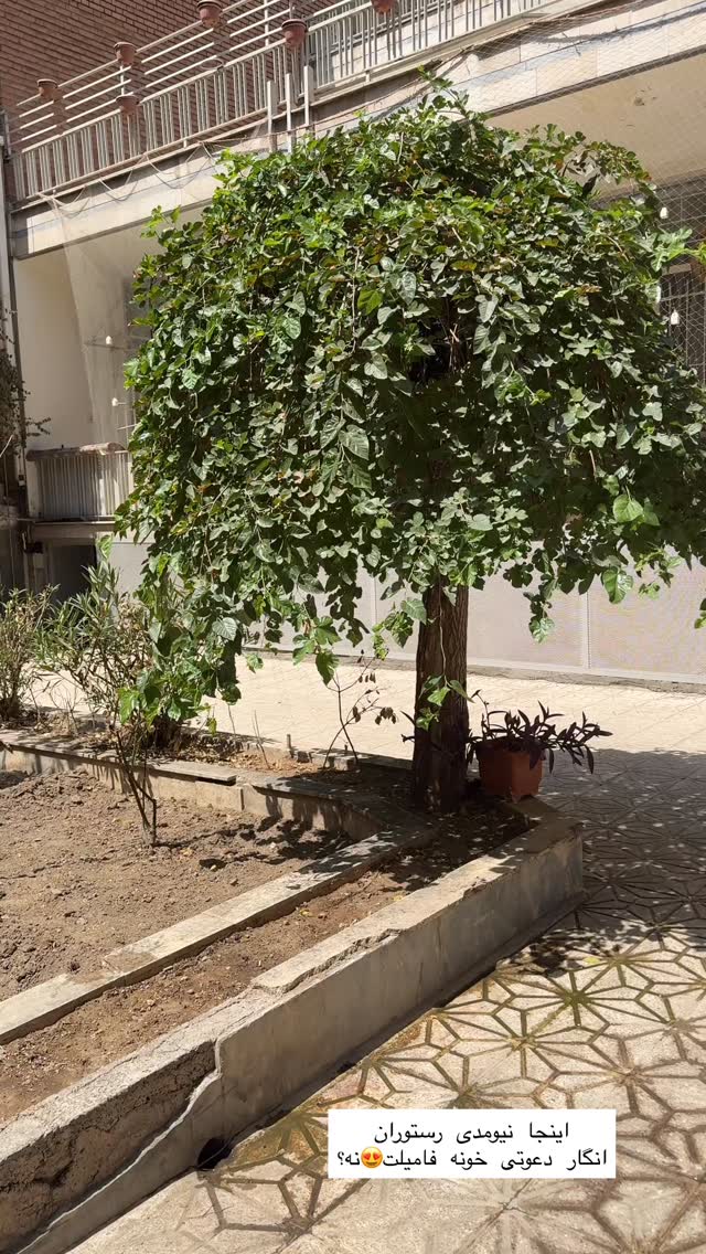  جدید ترین استوری اینستاگرام شیما
