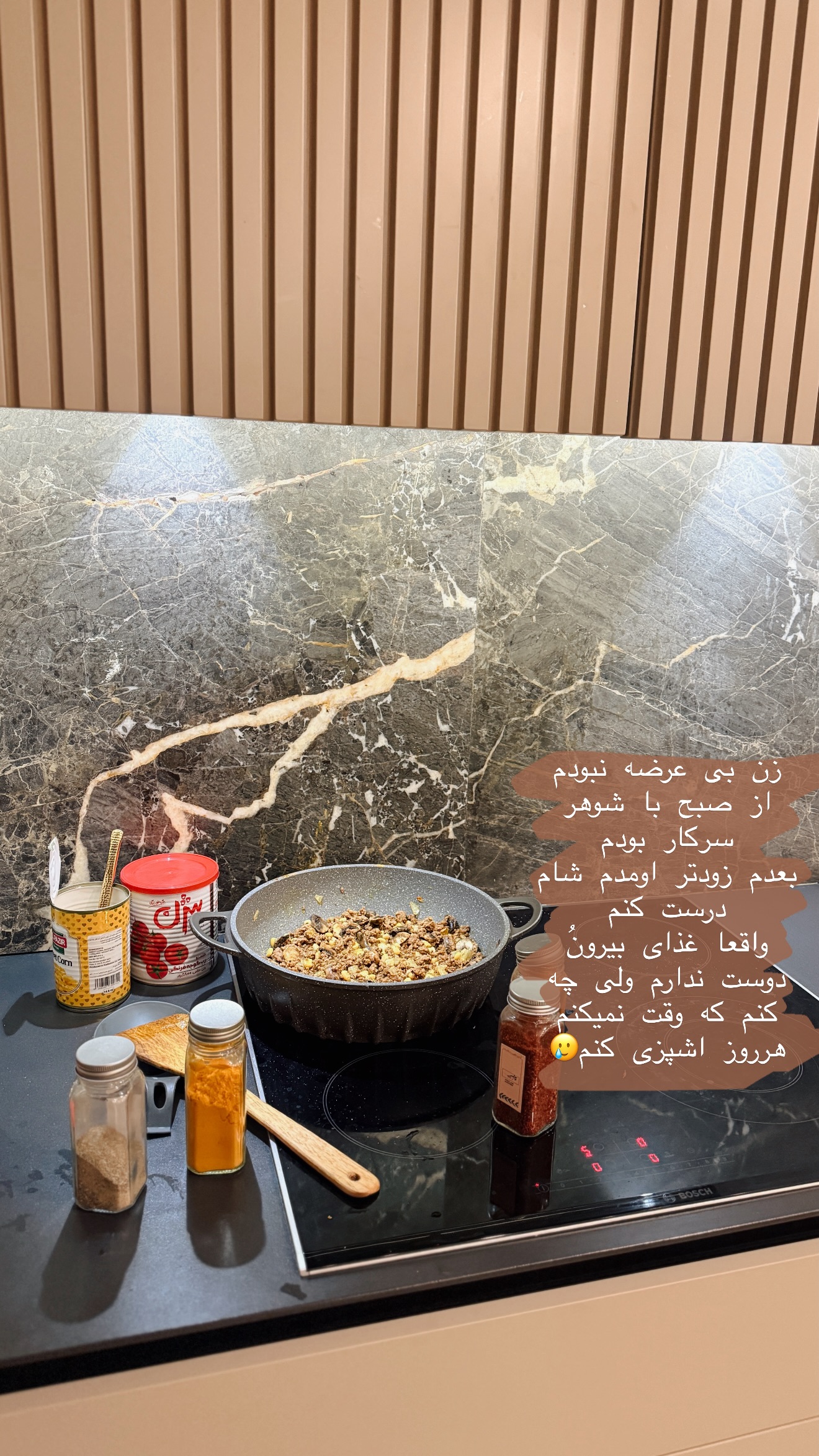  جدید ترین استوری اینستاگرام شیما