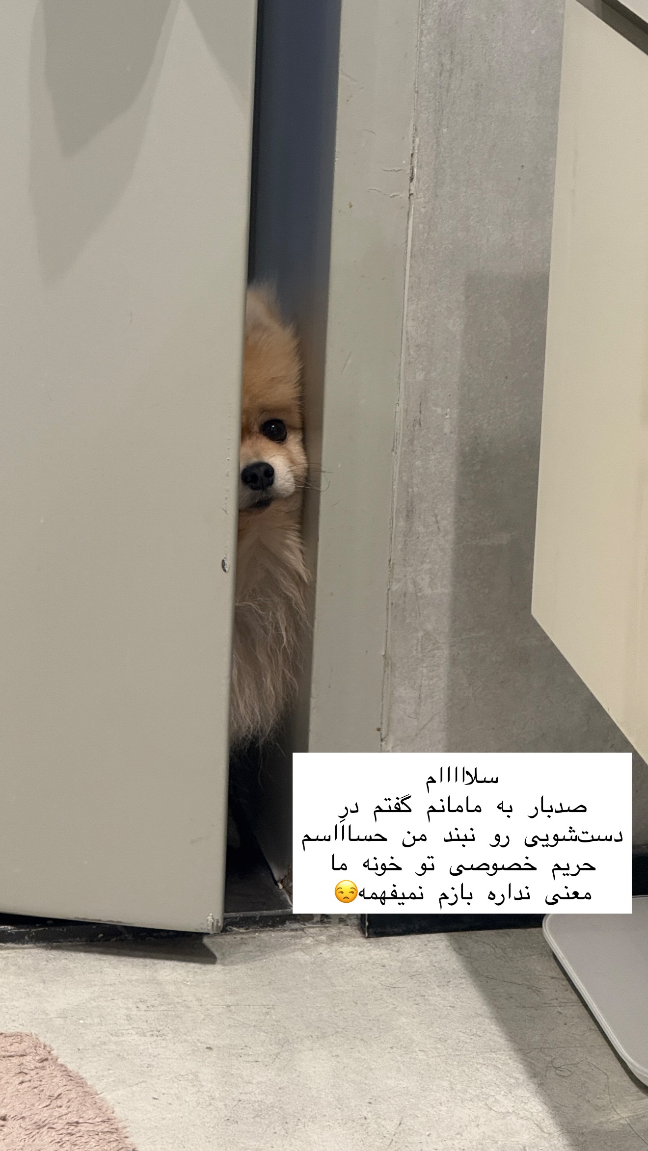 جدید ترین استوری اینستاگرام شیما