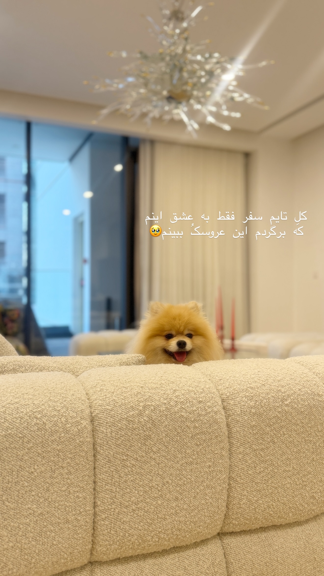  جدید ترین استوری اینستاگرام شیما