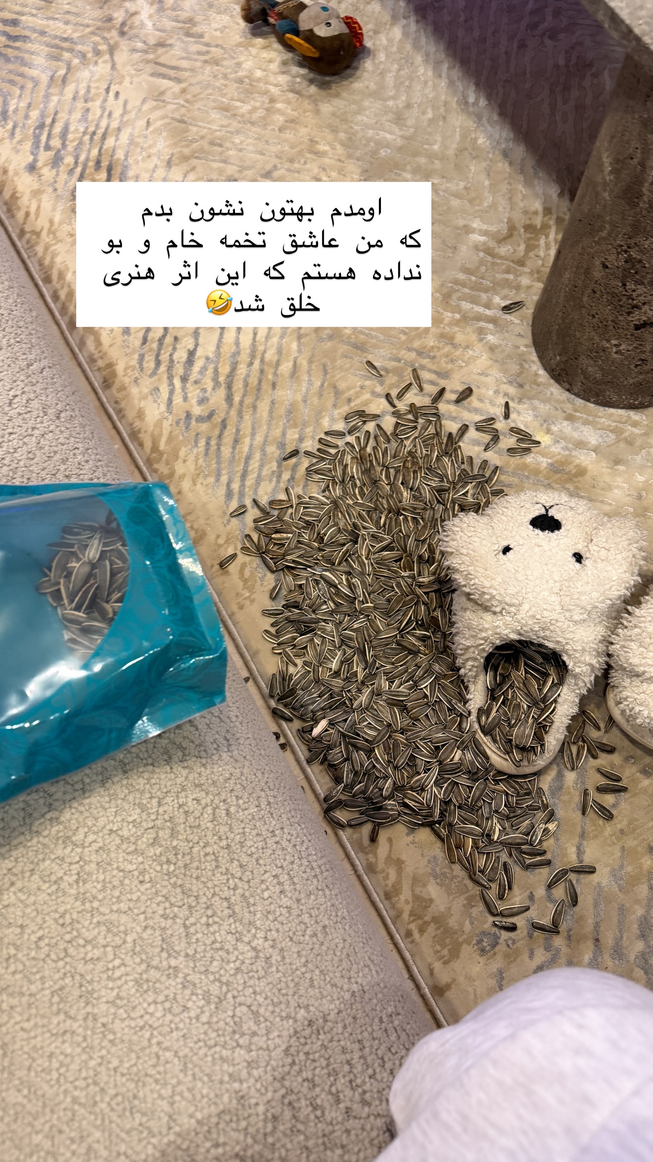  جدید ترین استوری اینستاگرام شیما