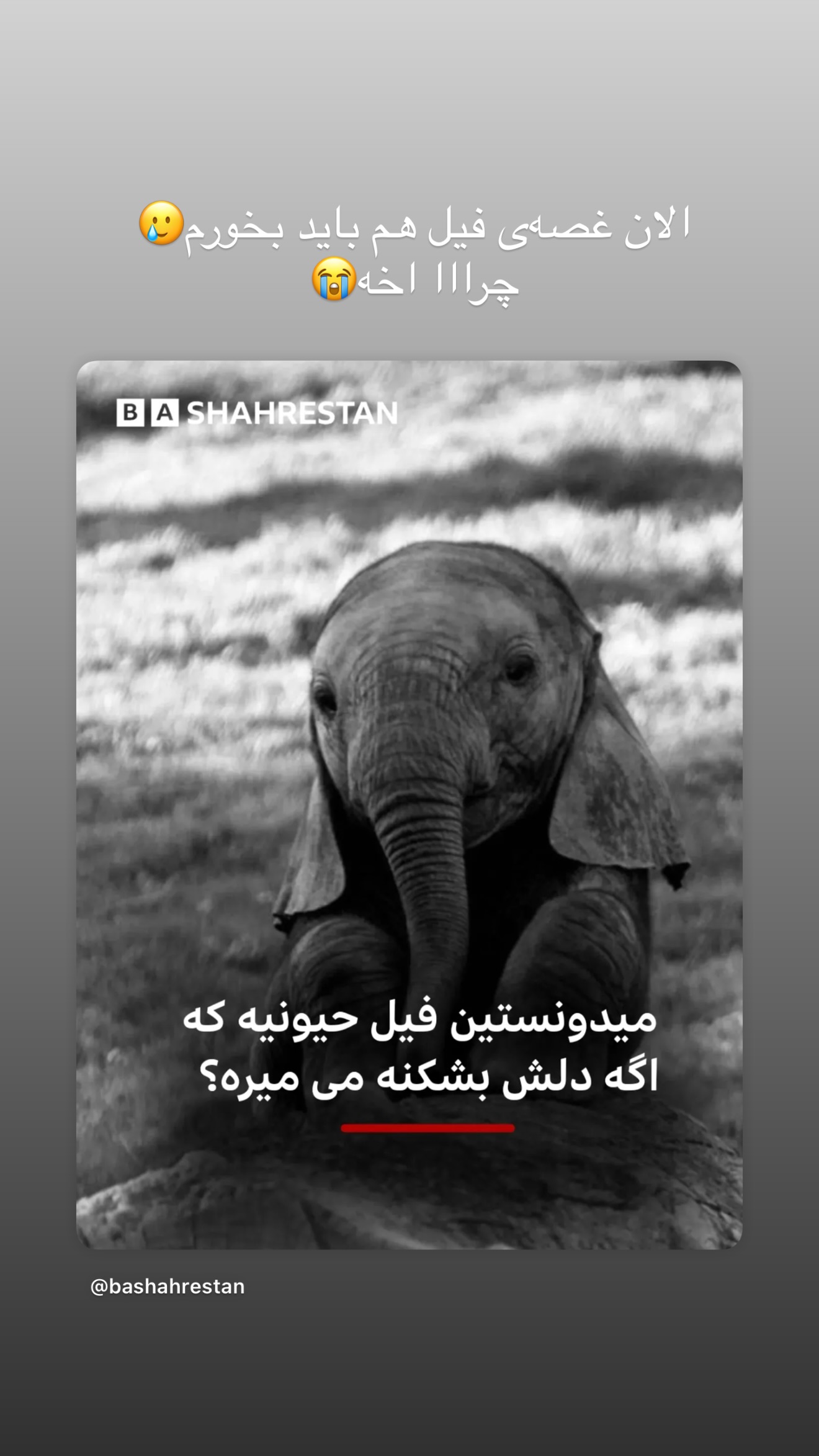  جدید ترین استوری اینستاگرام شیما