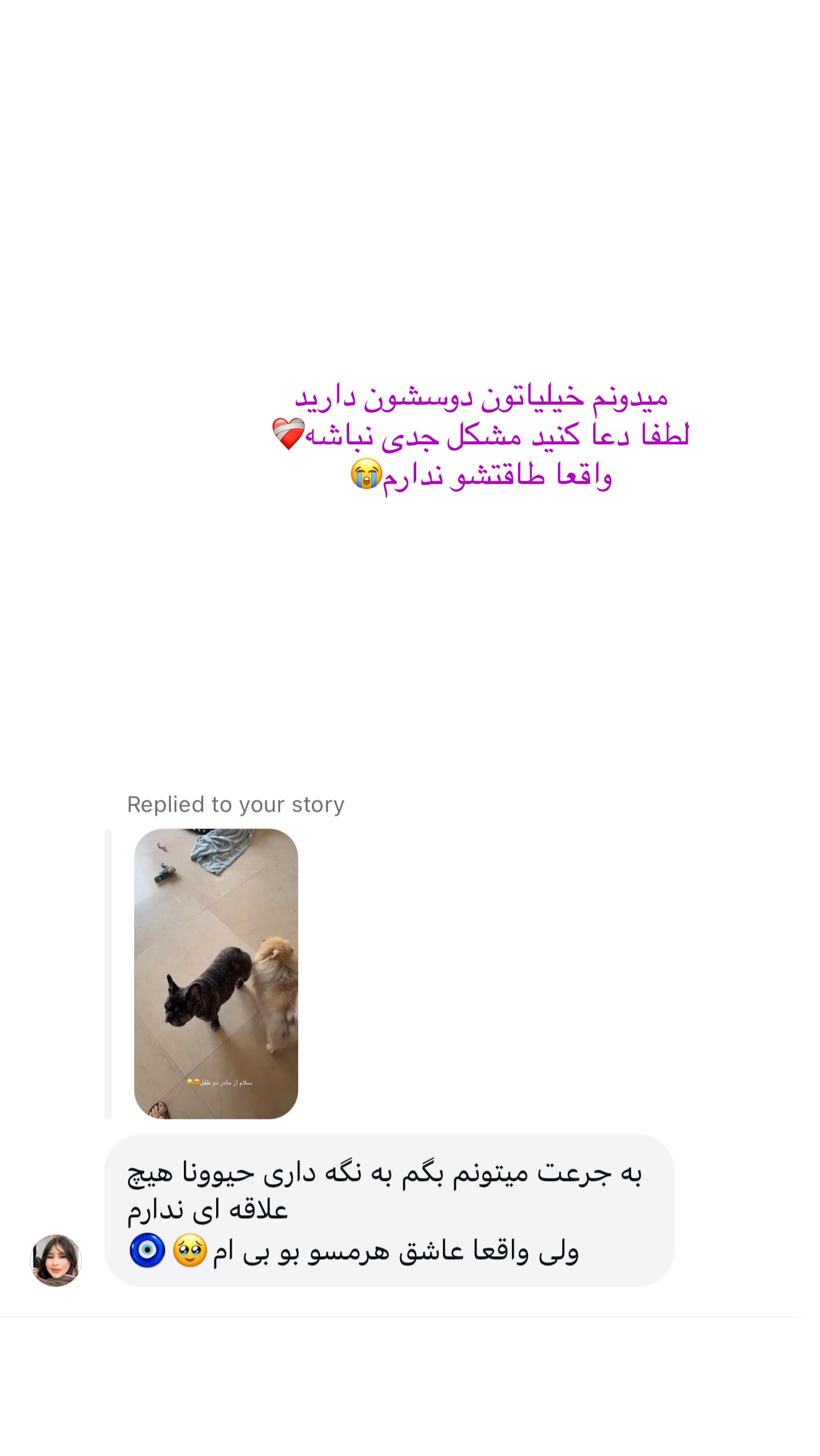  جدید ترین استوری اینستاگرام شیما