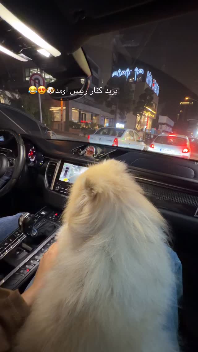  جدید ترین استوری اینستاگرام شیما