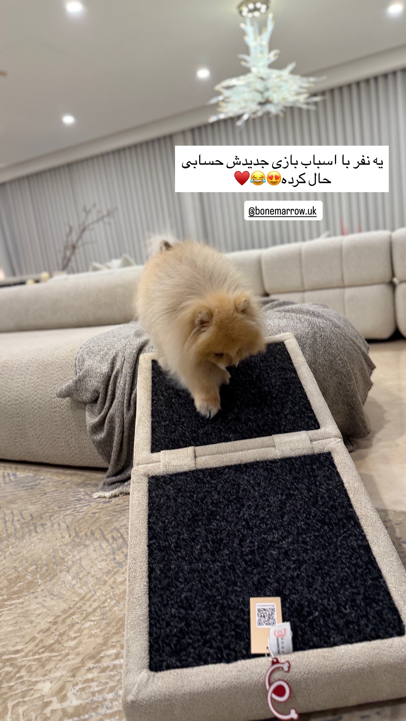  جدید ترین استوری اینستاگرام شیما