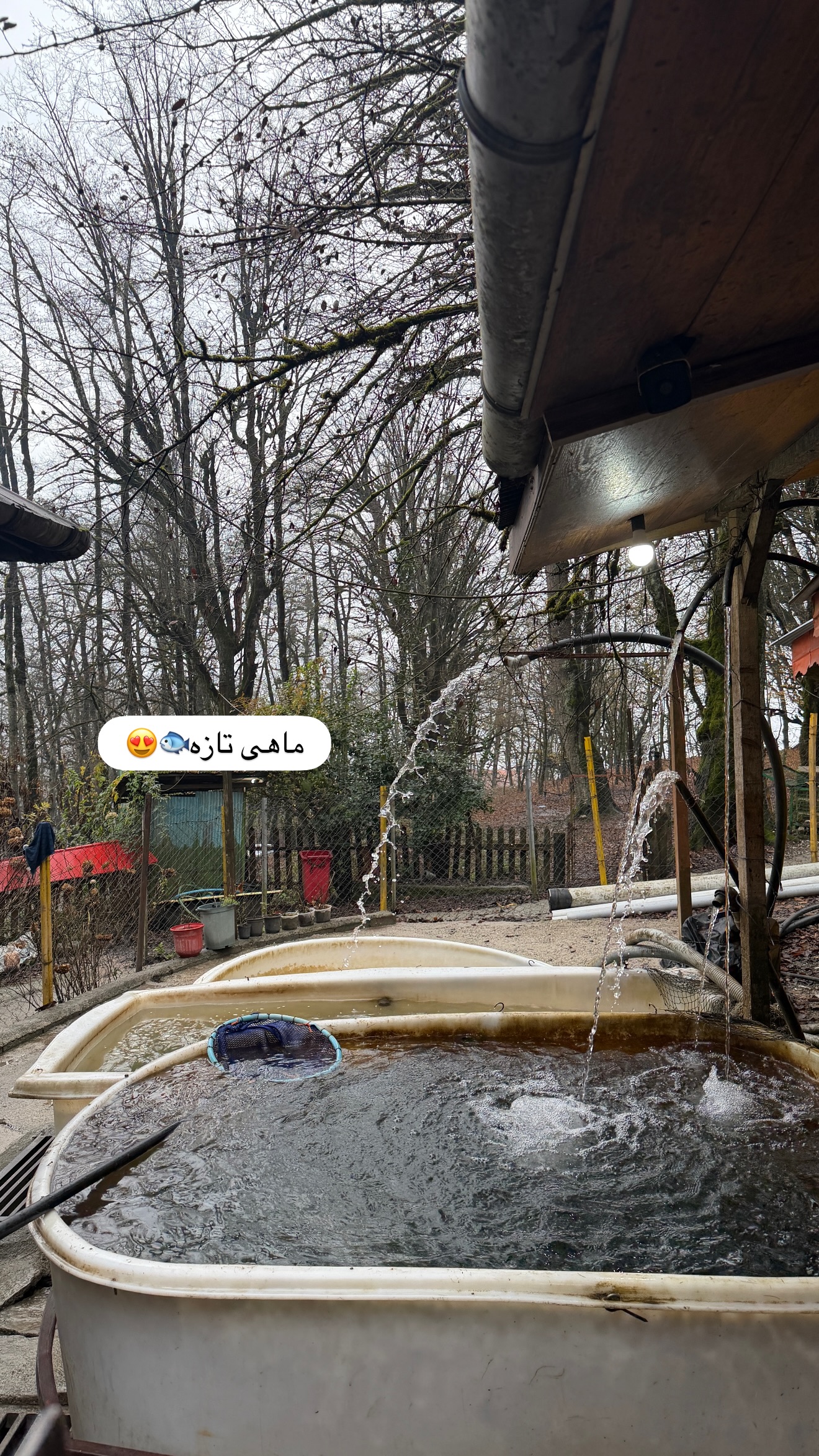  جدید ترین استوری اینستاگرام شیما