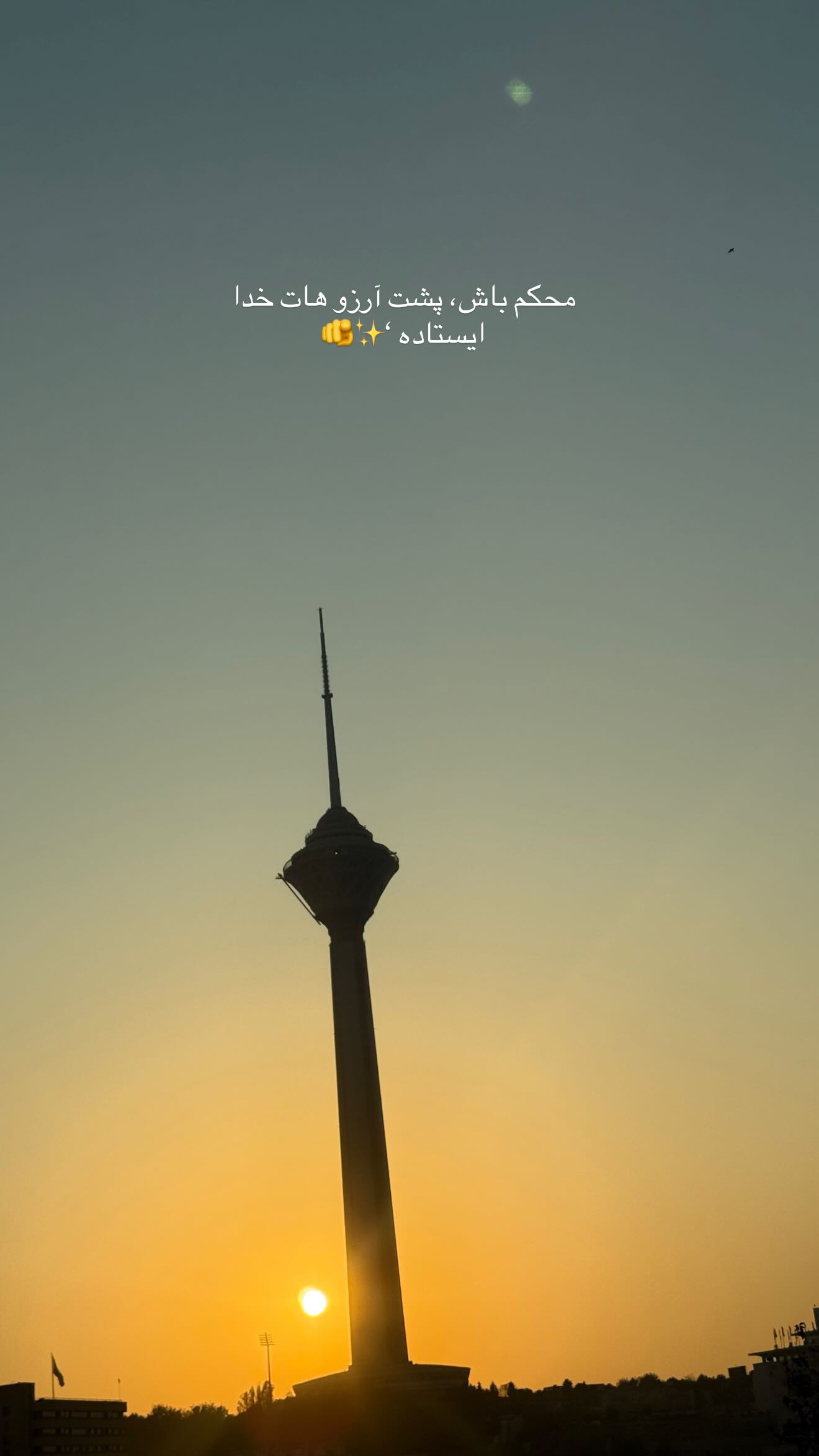  جدید ترین استوری اینستاگرام شیما زارعی
