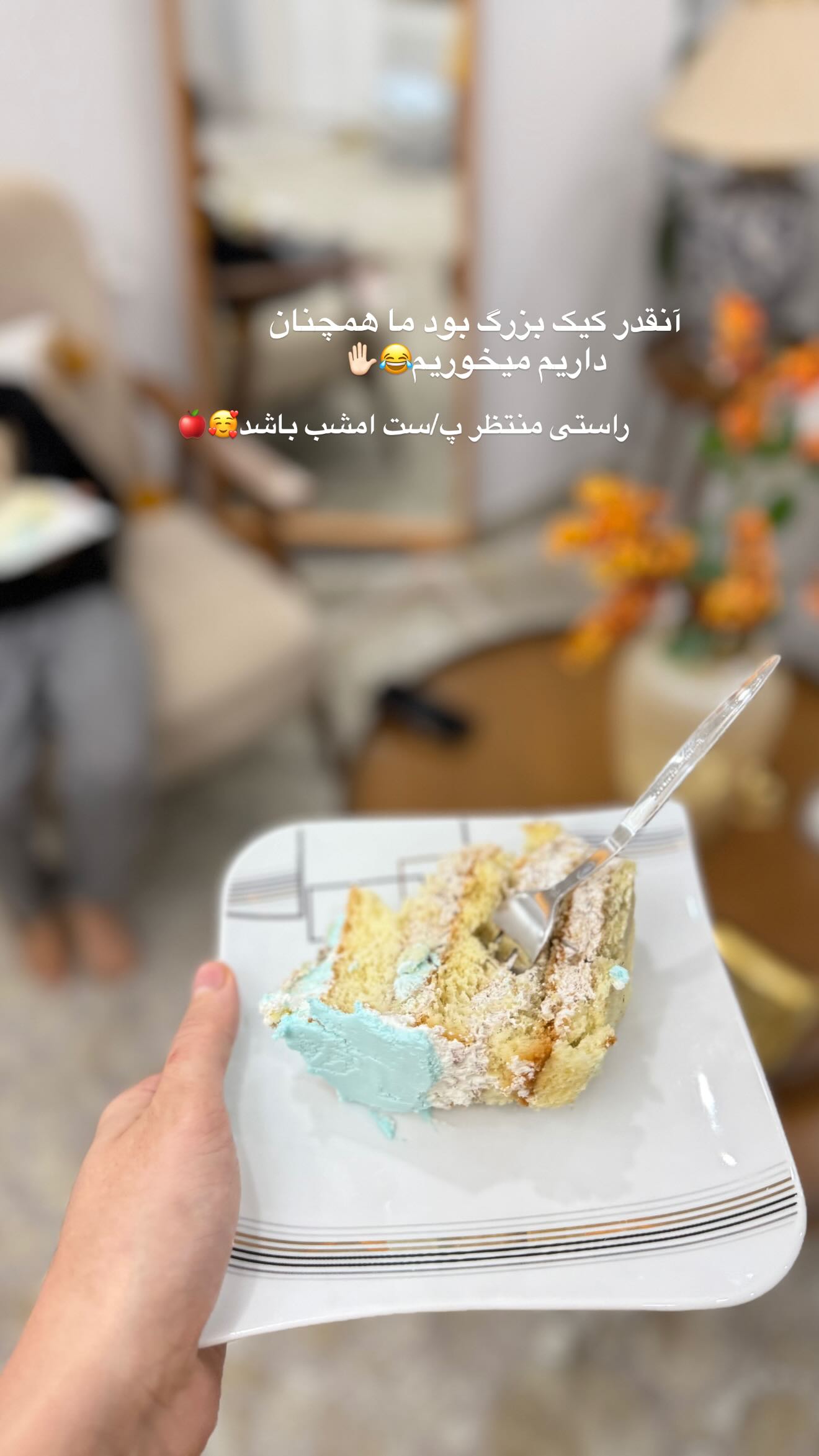  جدید ترین استوری اینستاگرام شیما زارعی