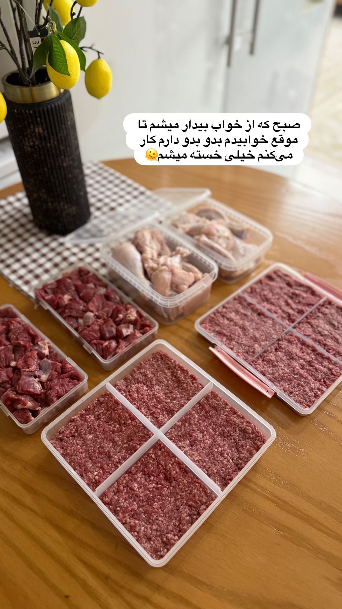  جدید ترین استوری اینستاگرام شیما زارعی