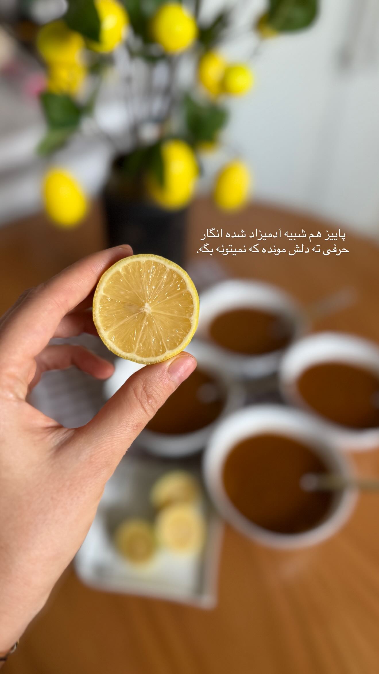  جدید ترین استوری اینستاگرام شیما زارعی