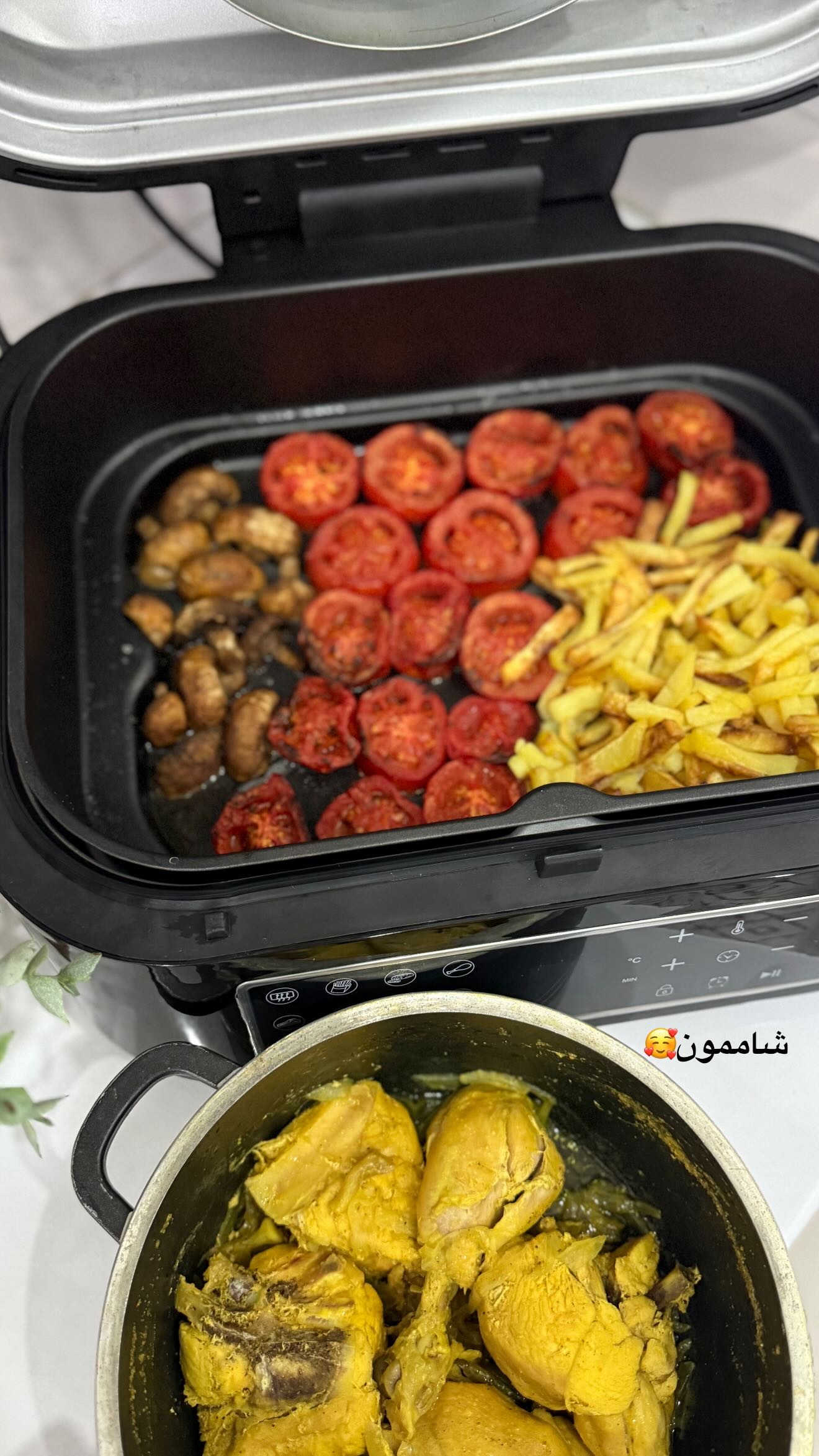  جدید ترین استوری اینستاگرام شیما زارعی