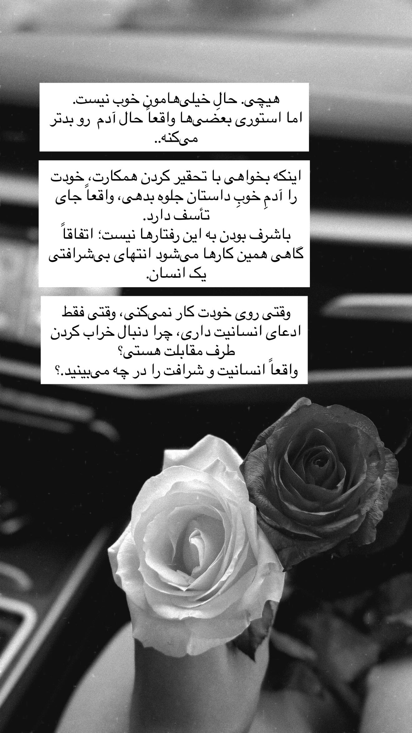  جدید ترین استوری اینستاگرام شیما زارعی