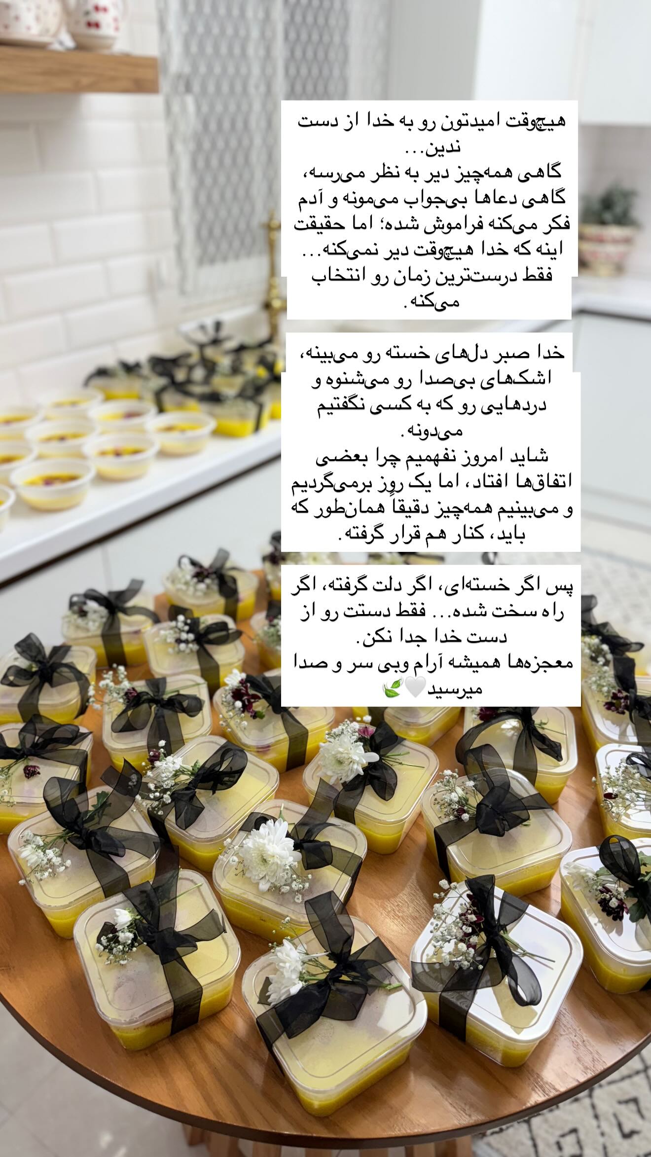  جدید ترین استوری اینستاگرام شیما زارعی