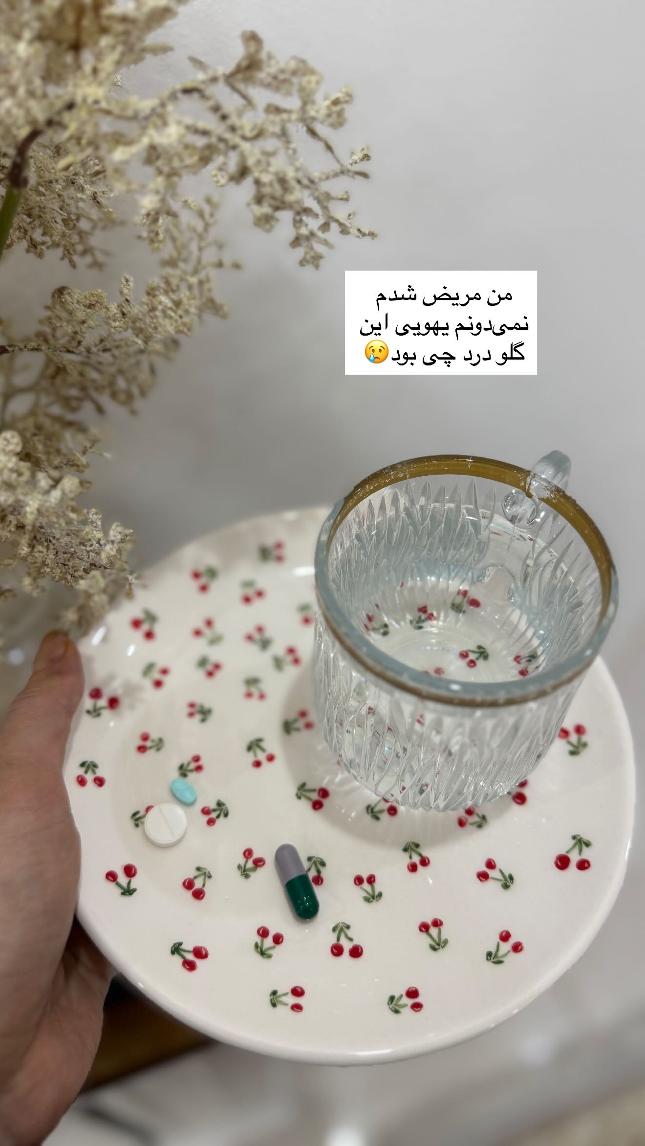  جدید ترین استوری اینستاگرام شیما زارعی