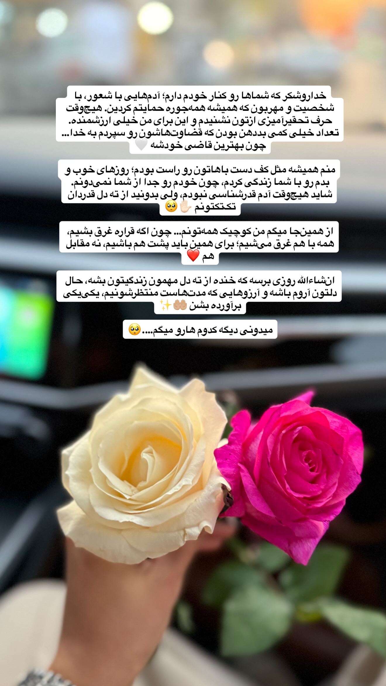  جدید ترین استوری اینستاگرام شیما زارعی