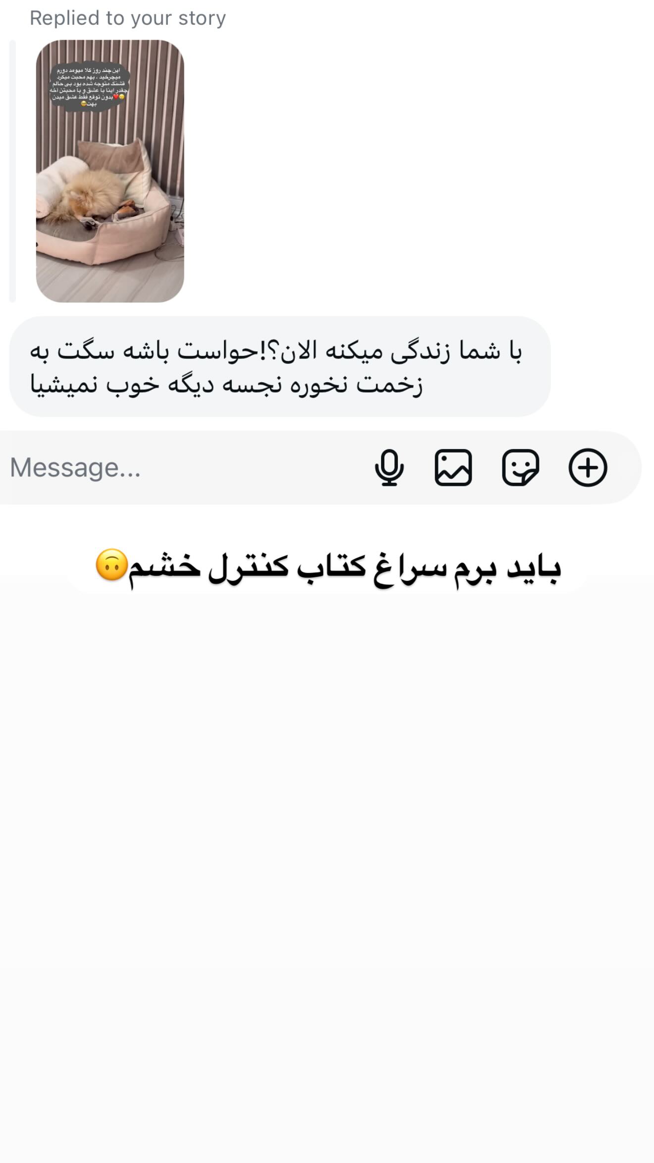  جدید ترین استوری اینستاگرام شیرین