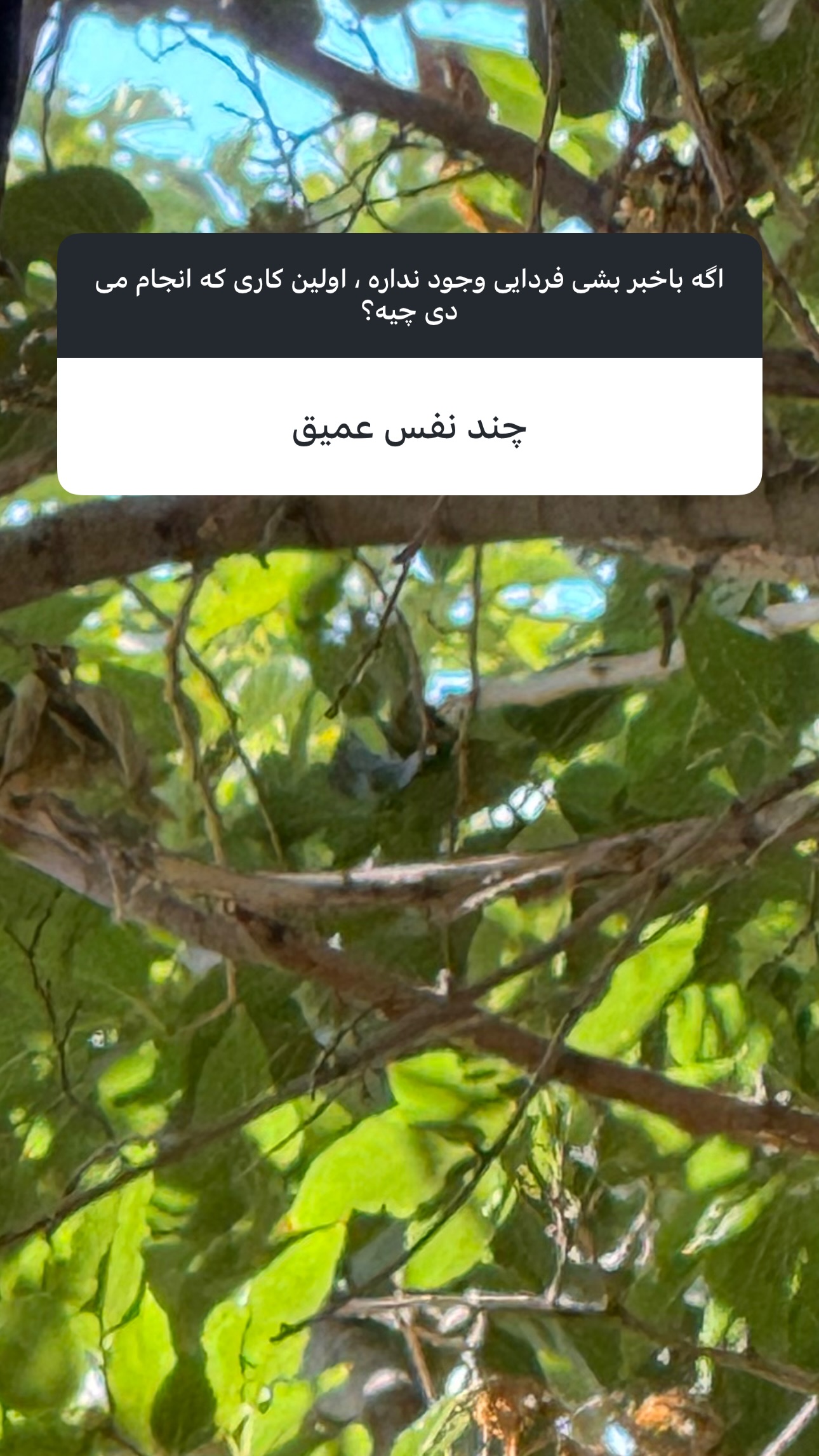  جدید ترین استوری اینستاگرام شیرین صمدی