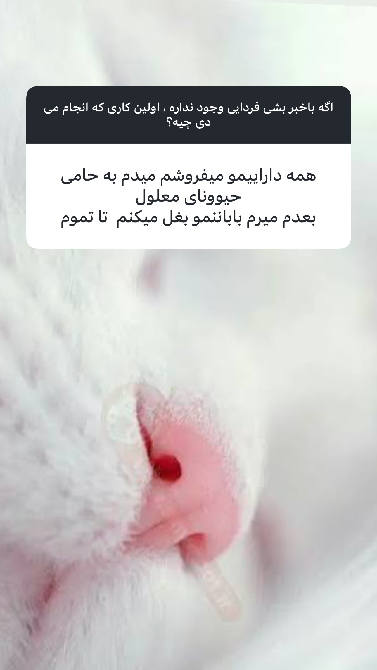  جدید ترین استوری اینستاگرام شیرین صمدی