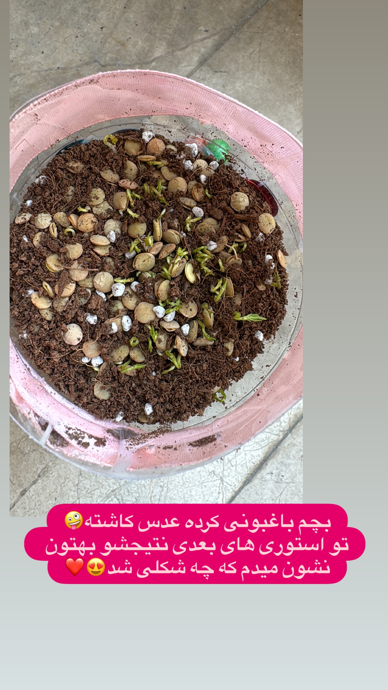  جدید ترین استوری اینستاگرام شیوا کسائیان