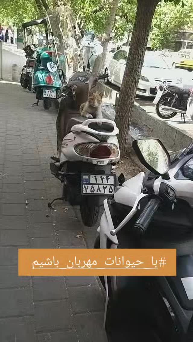  جدید ترین استوری اینستاگرام شیوا خسرومهر