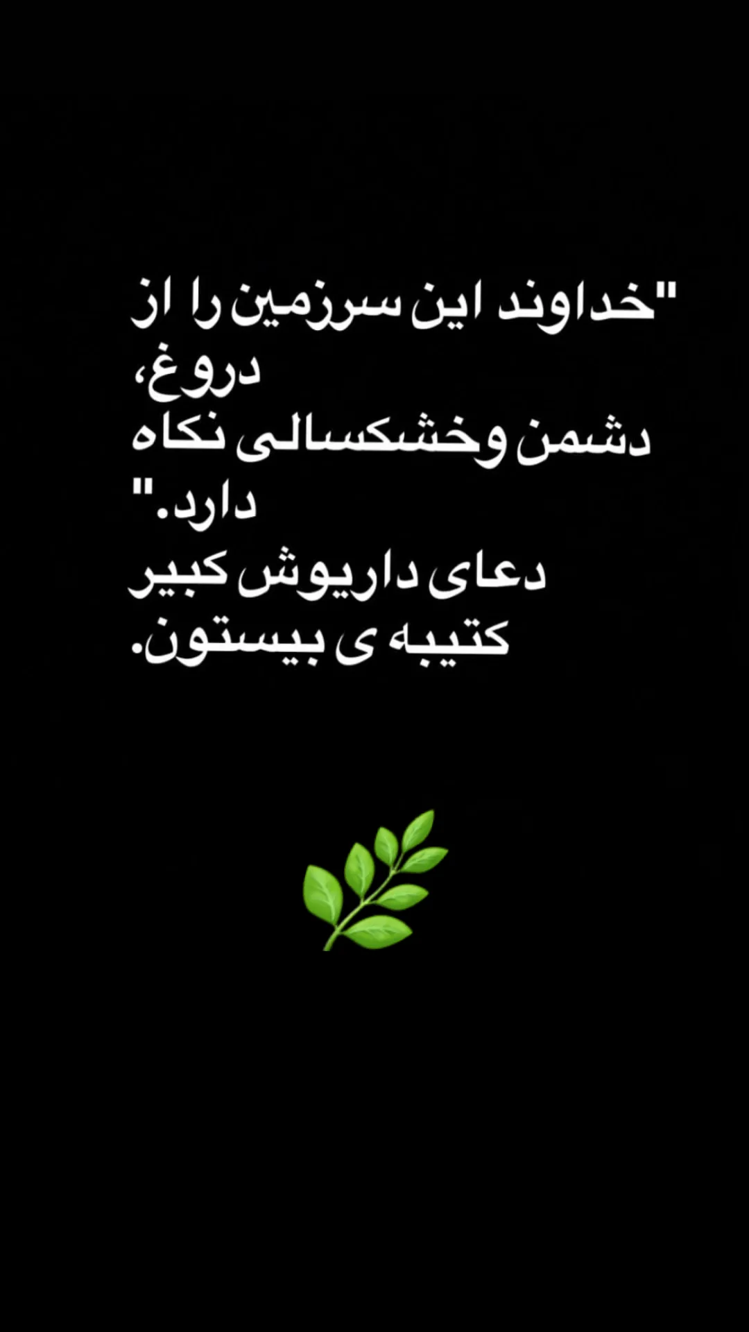  جدید ترین استوری اینستاگرام شیوا خسرومهر