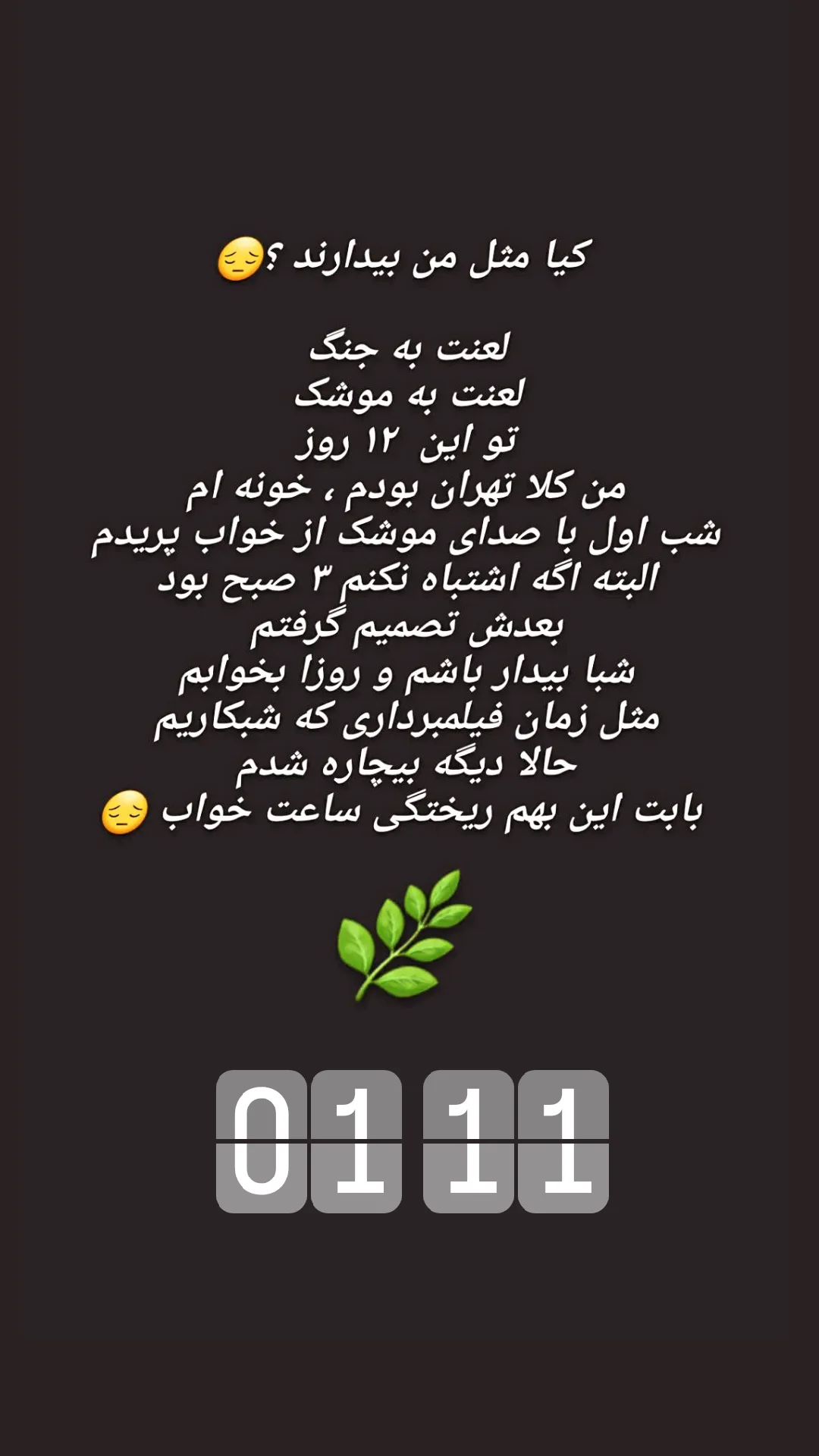  جدید ترین استوری اینستاگرام شیوا خسرومهر