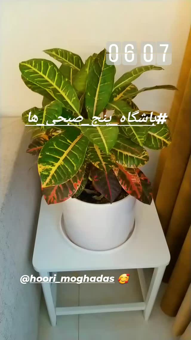  جدید ترین استوری اینستاگرام شیوا خسرومهر