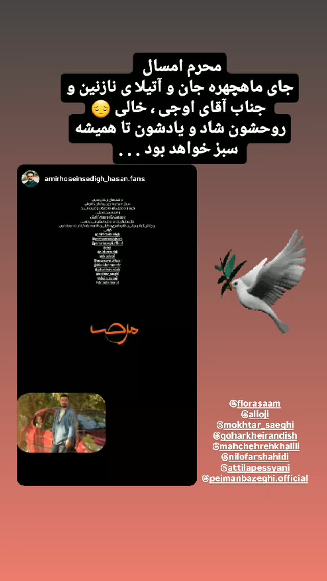  جدید ترین استوری اینستاگرام شیوا خسرومهر