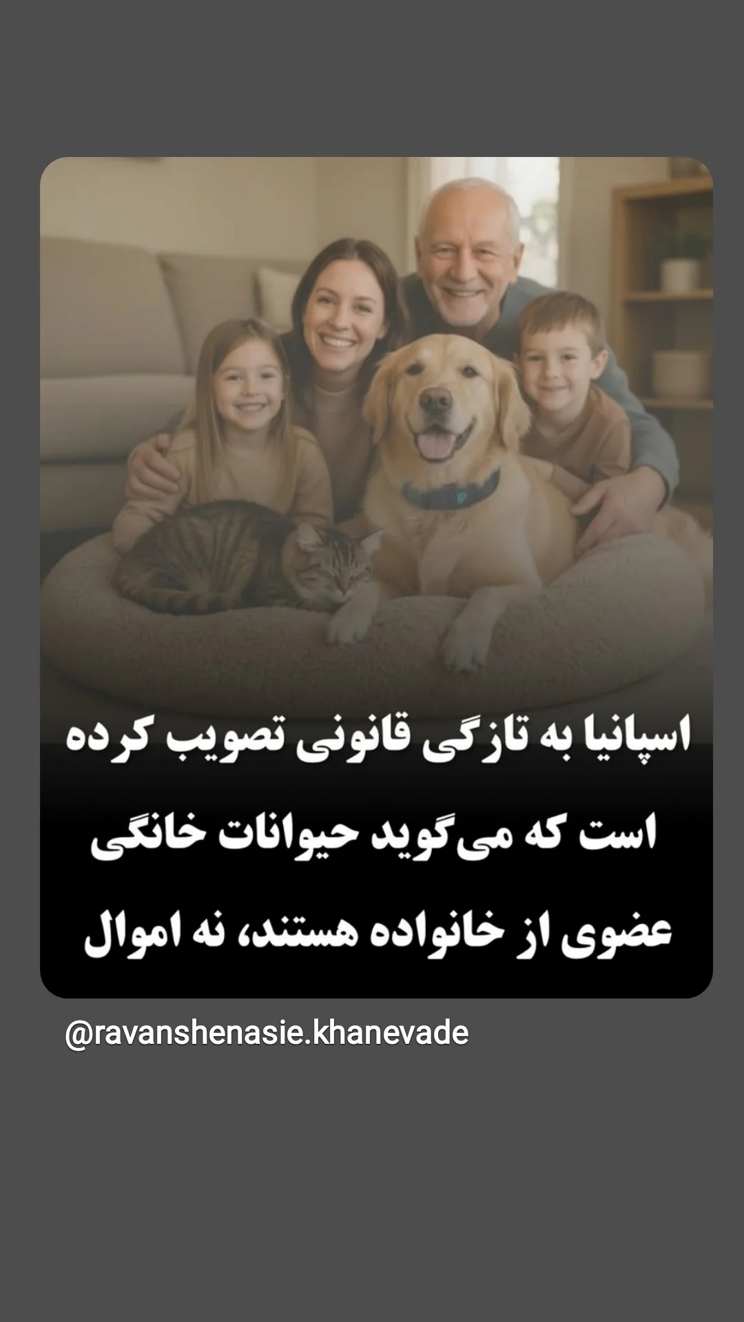  جدید ترین استوری اینستاگرام شیوا خسرومهر