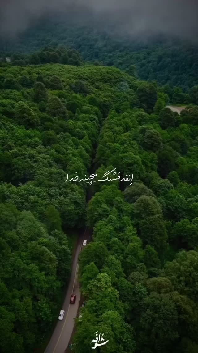  جدید ترین استوری اینستاگرام شیوا رضوی