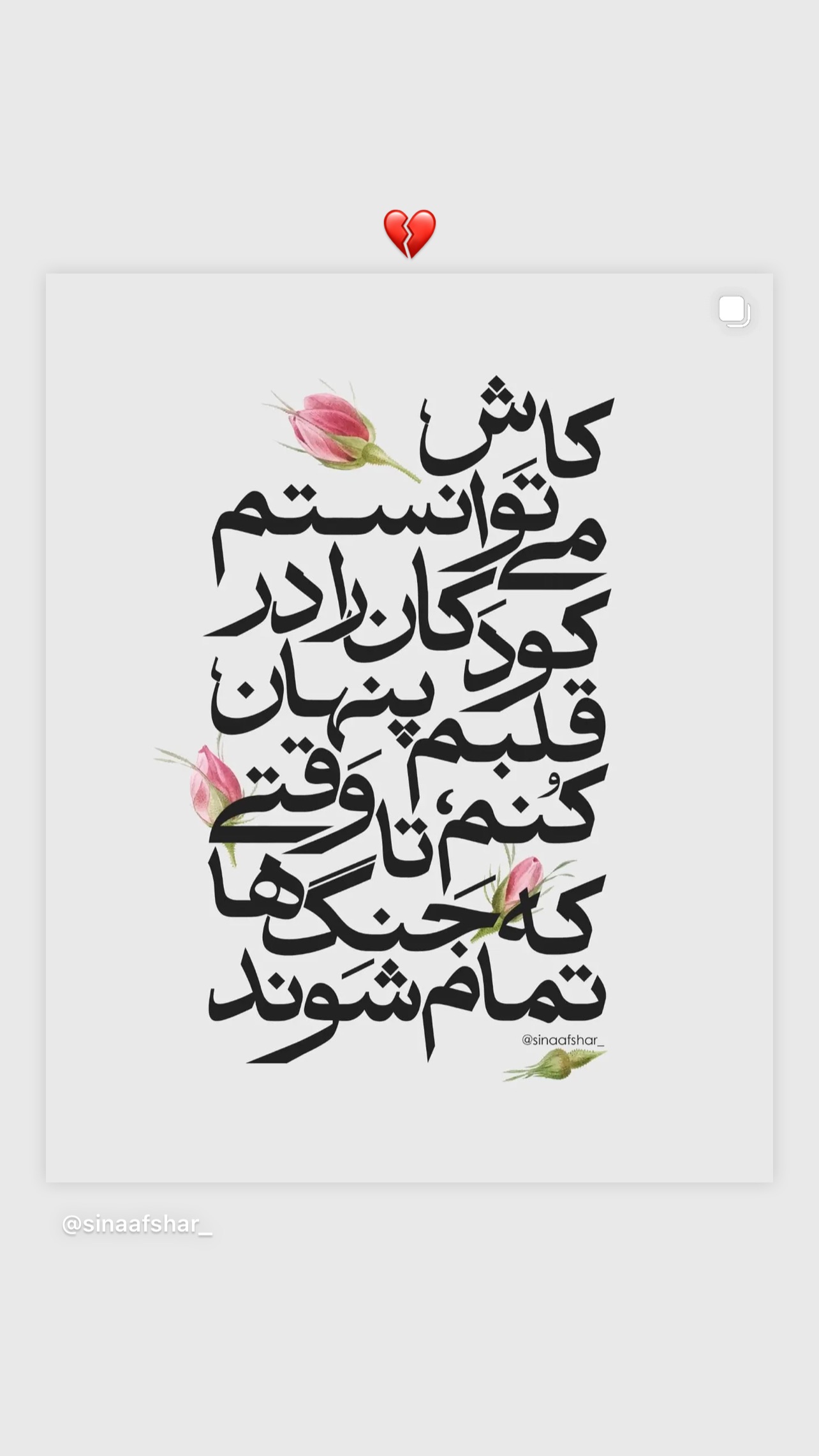  جدید ترین استوری اینستاگرام شیوا رضوی