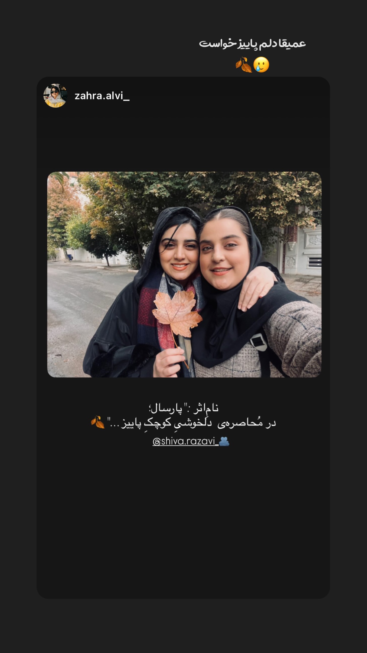 جدید ترین استوری اینستاگرام شیوا رضوی