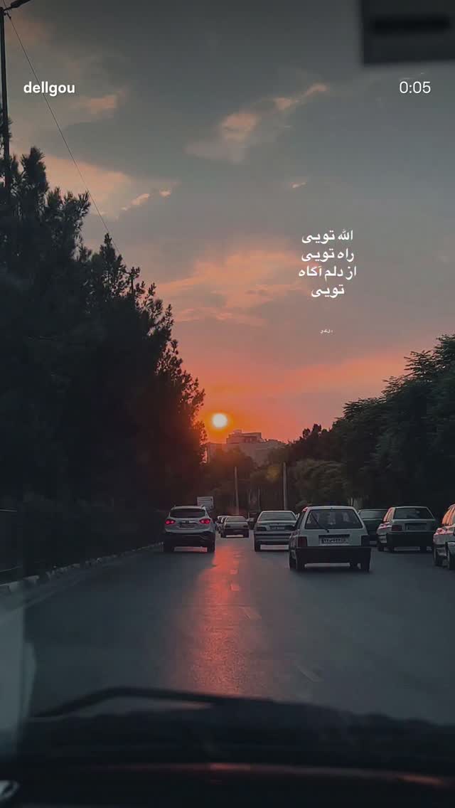  جدید ترین استوری اینستاگرام شیوا رضوی