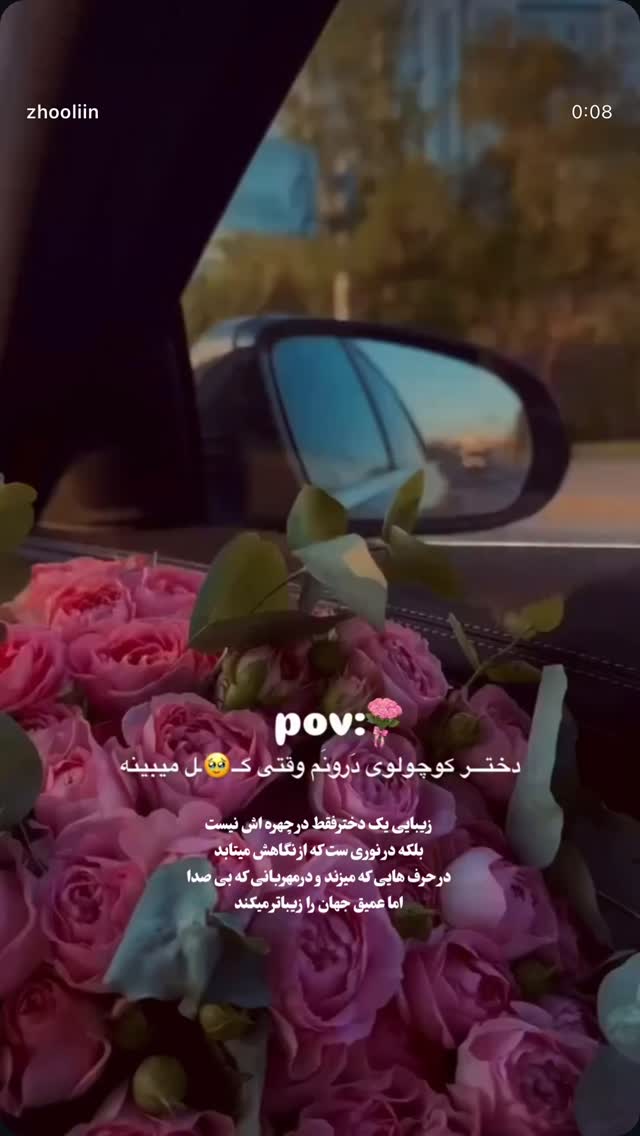  جدید ترین استوری اینستاگرام شیوا رضوی