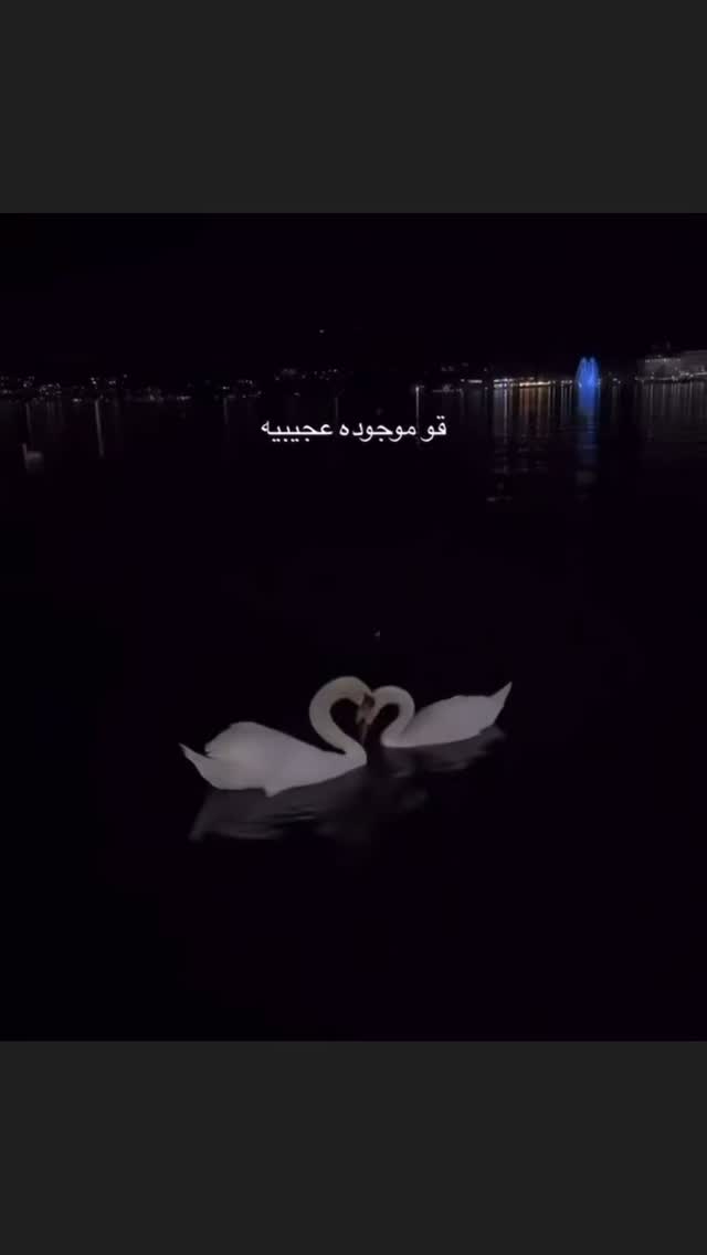  جدید ترین استوری اینستاگرام شیوا مکی نیان